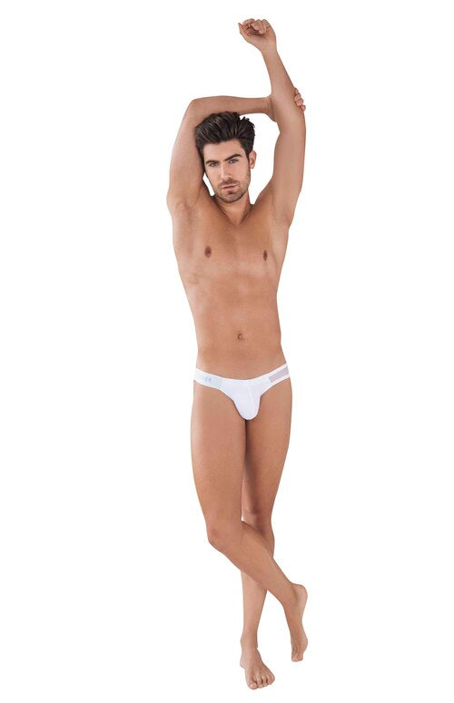 BRIEF LATINO ORIGEN