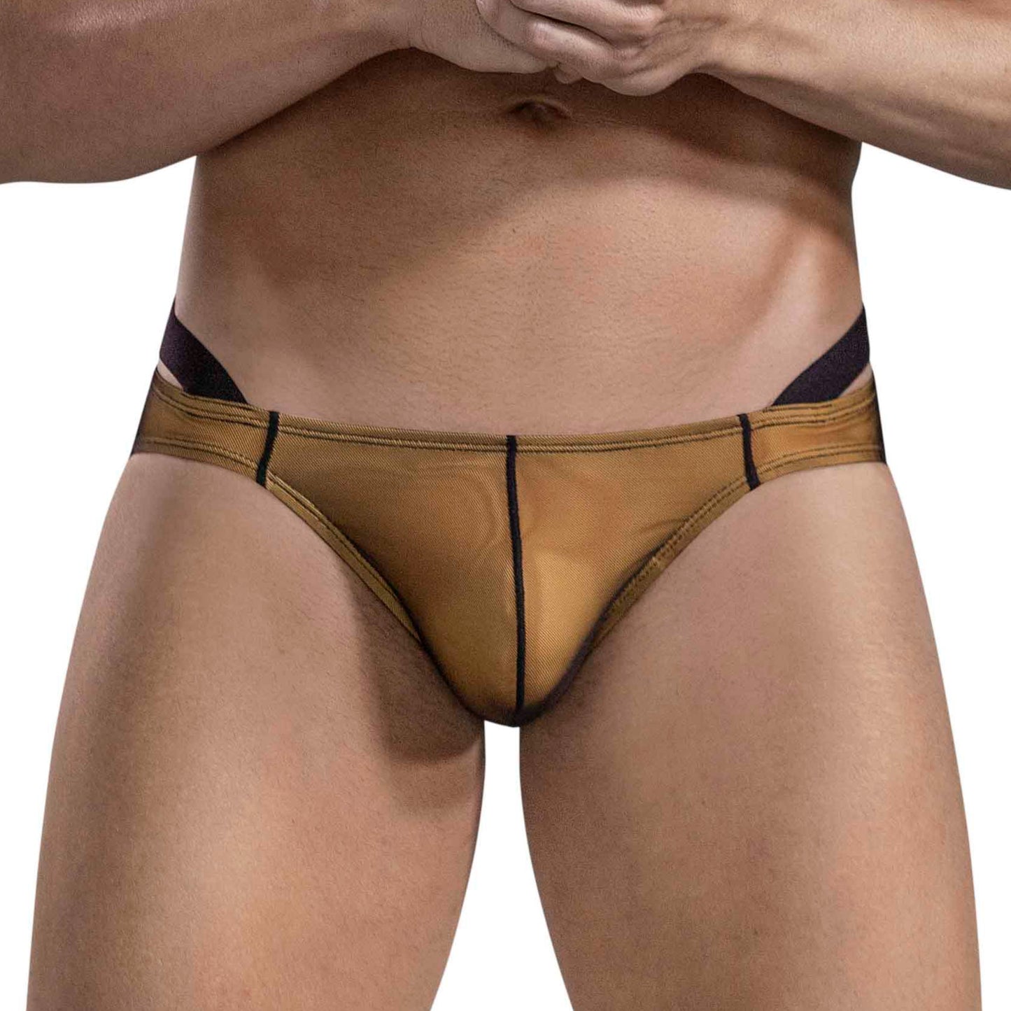 BRIEF SLIP EROTICISM