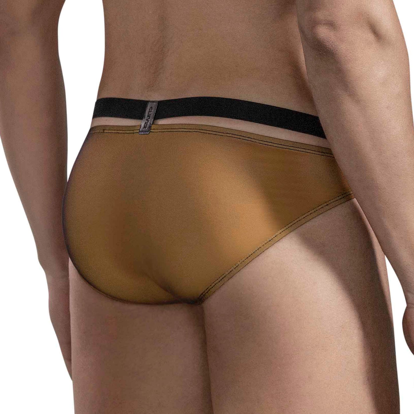 BRIEF SLIP EROTICISM
