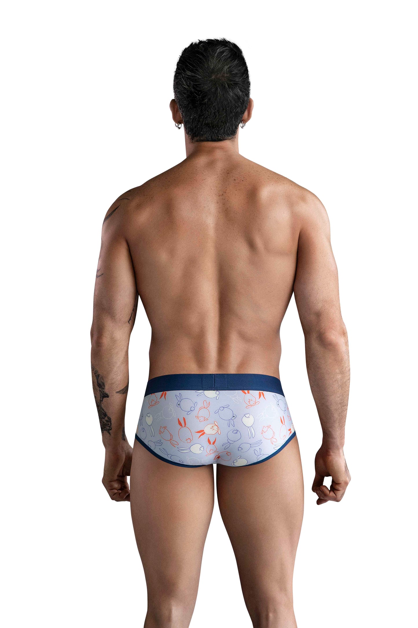 BRIEF DE SESGOS CONEY