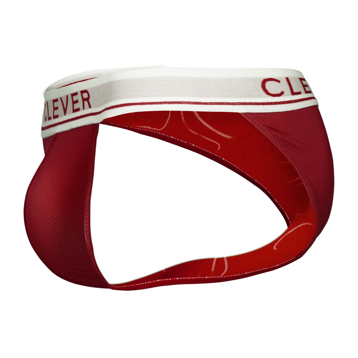 BRIEF CIRCON