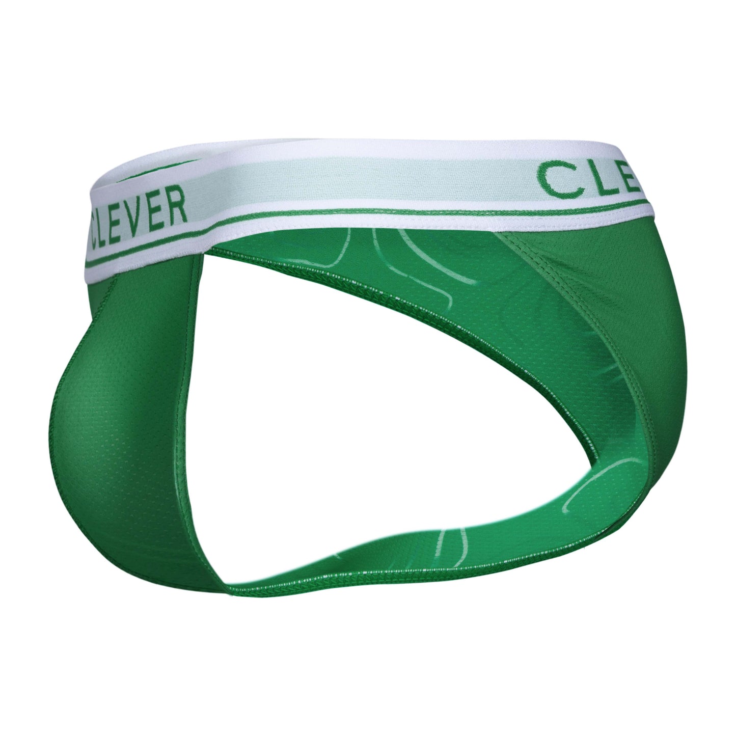 BRIEF CIRCON