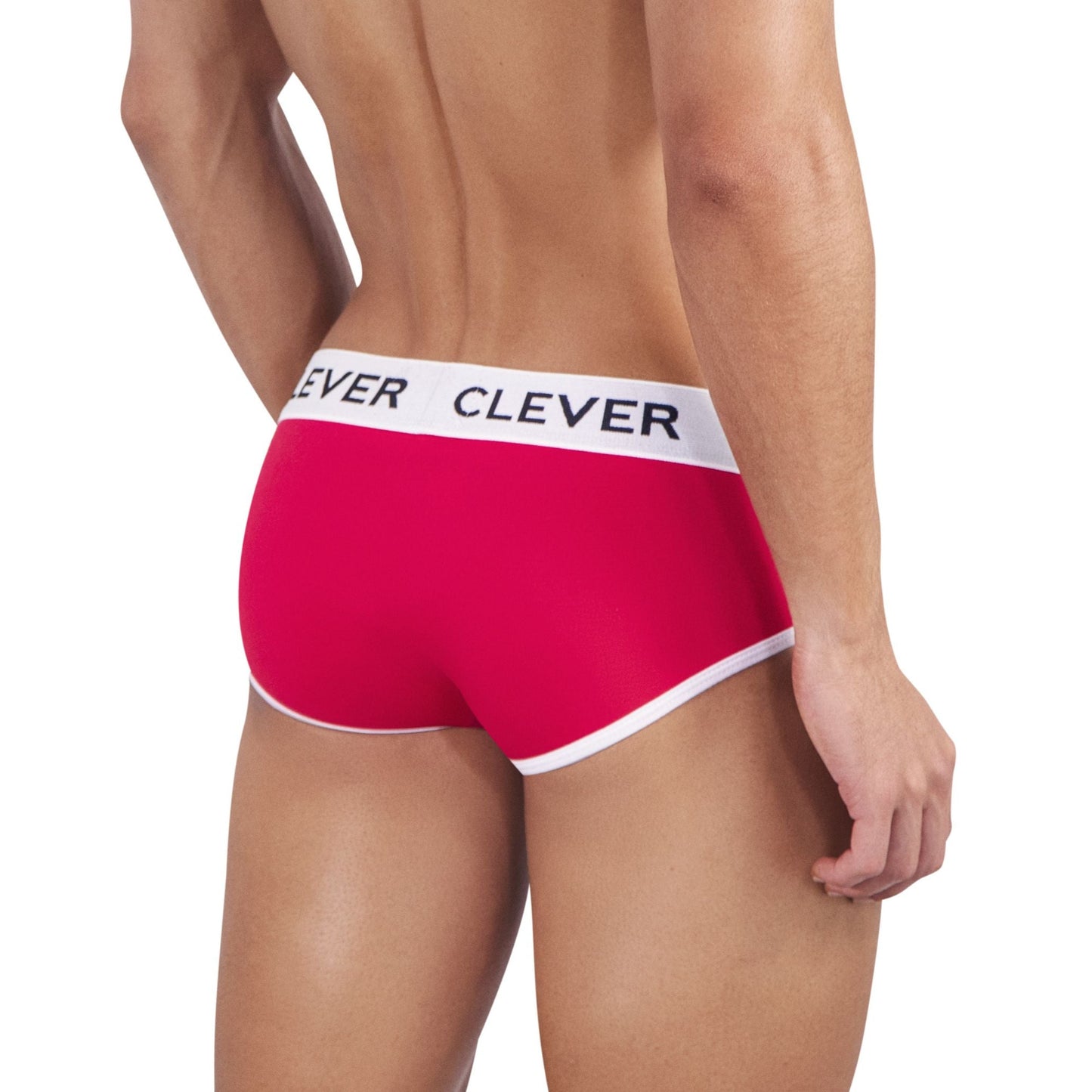 BRIEF DE SESGOS CLEVER EN ALGODÓN