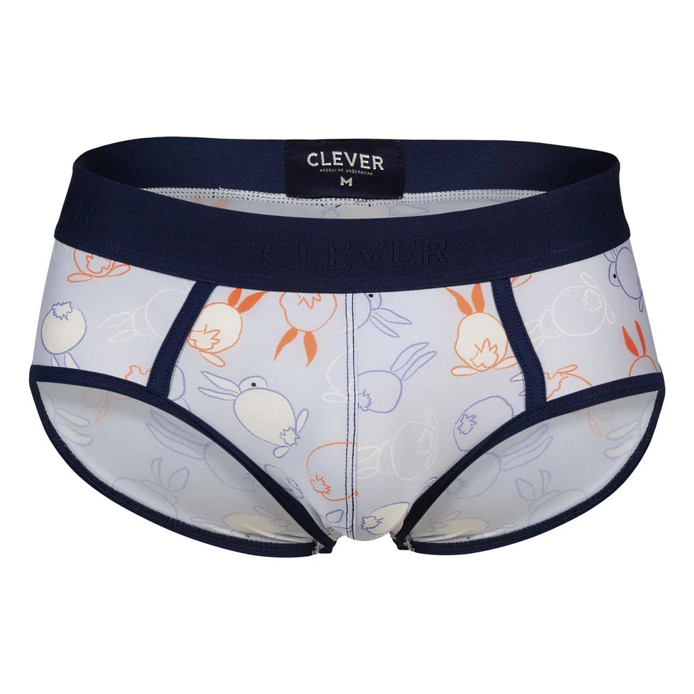 BRIEF DE SESGOS CONEY