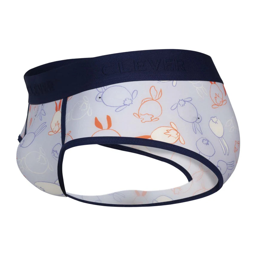 BRIEF DE SESGOS CONEY