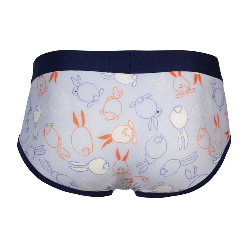 BRIEF DE SESGOS CONEY