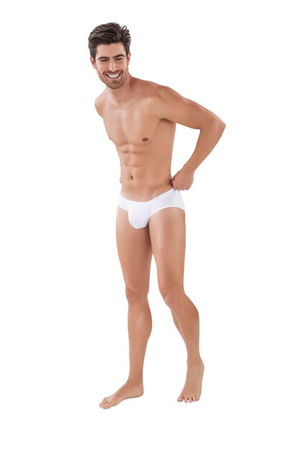 LATIN BRIEF