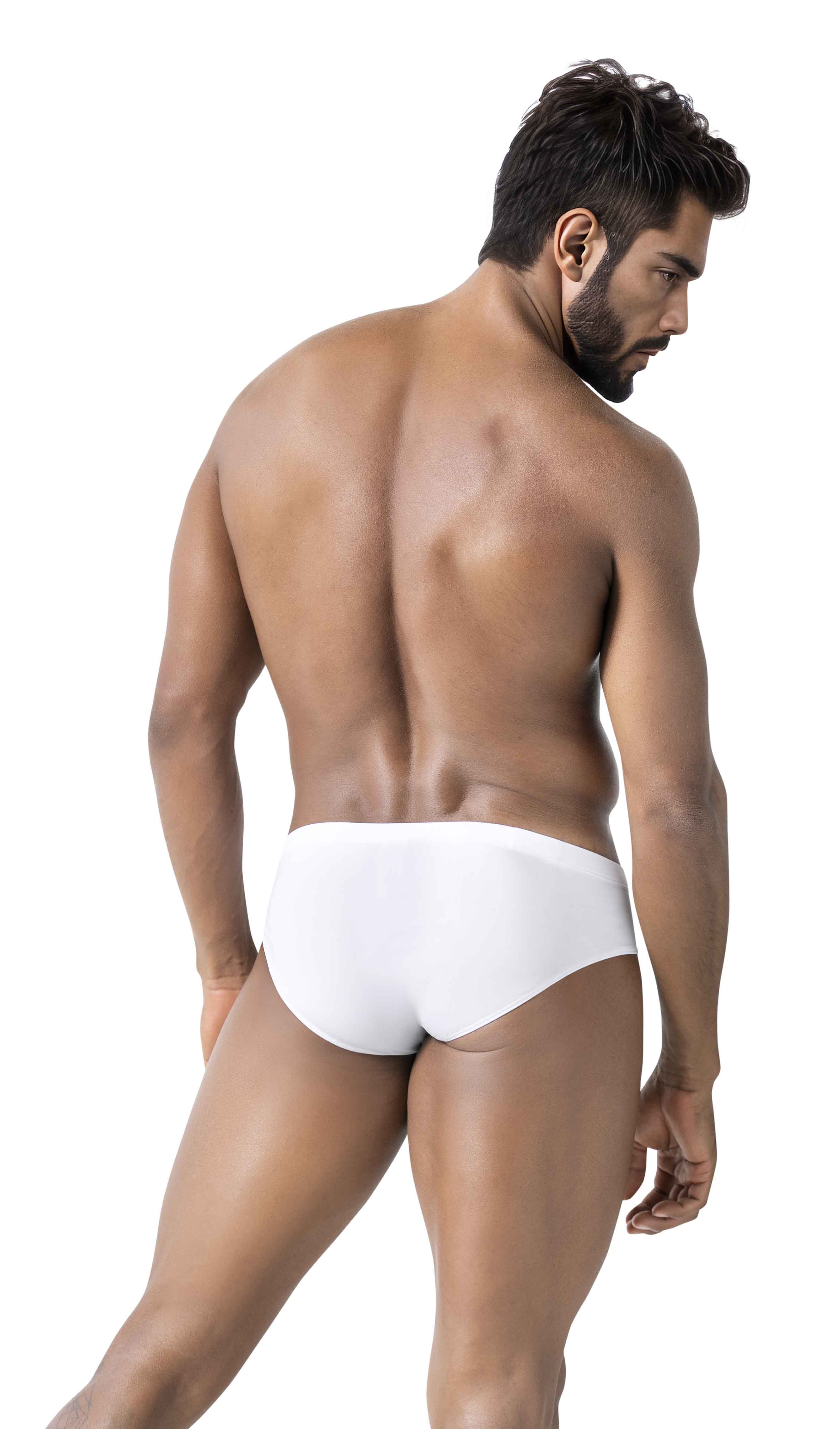 LATIN BRIEF