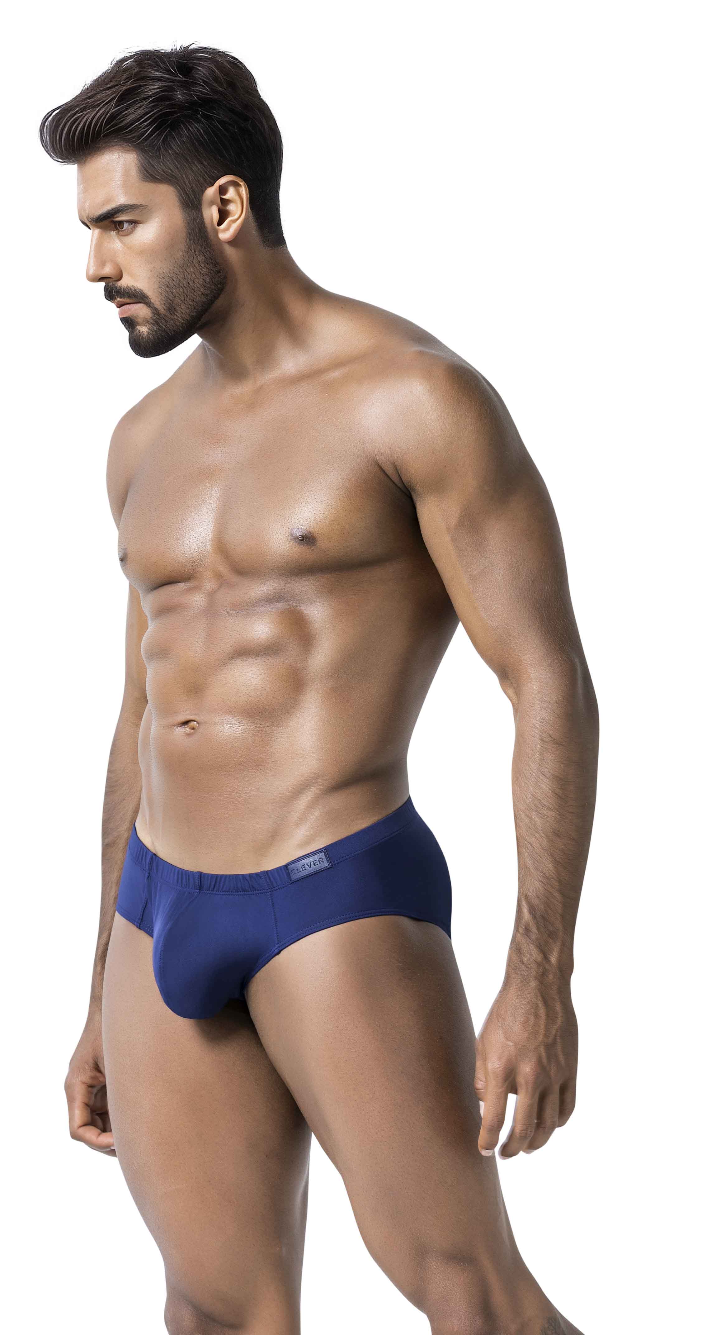 LATIN BRIEF