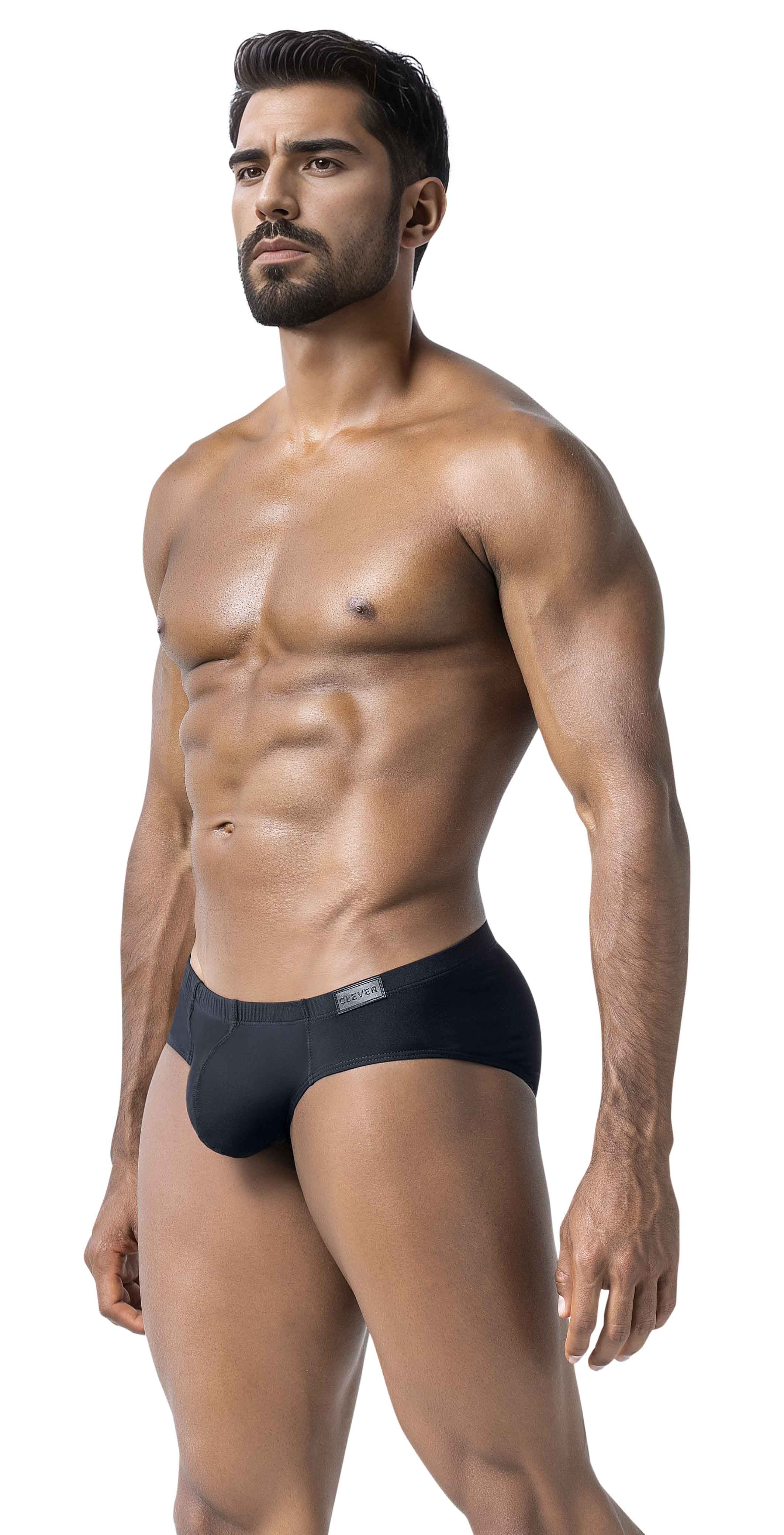 LATIN BRIEF
