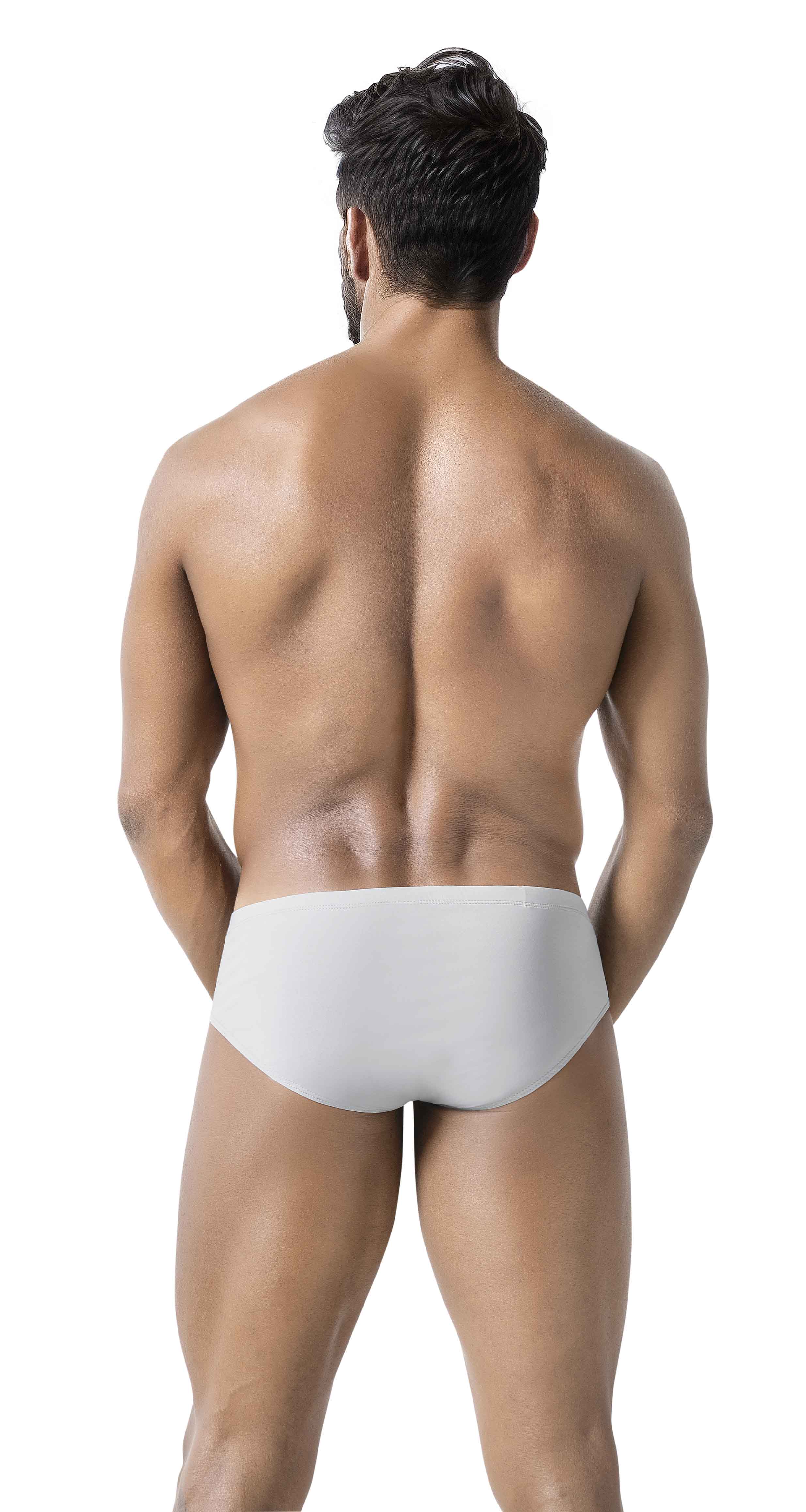 LATIN BRIEF