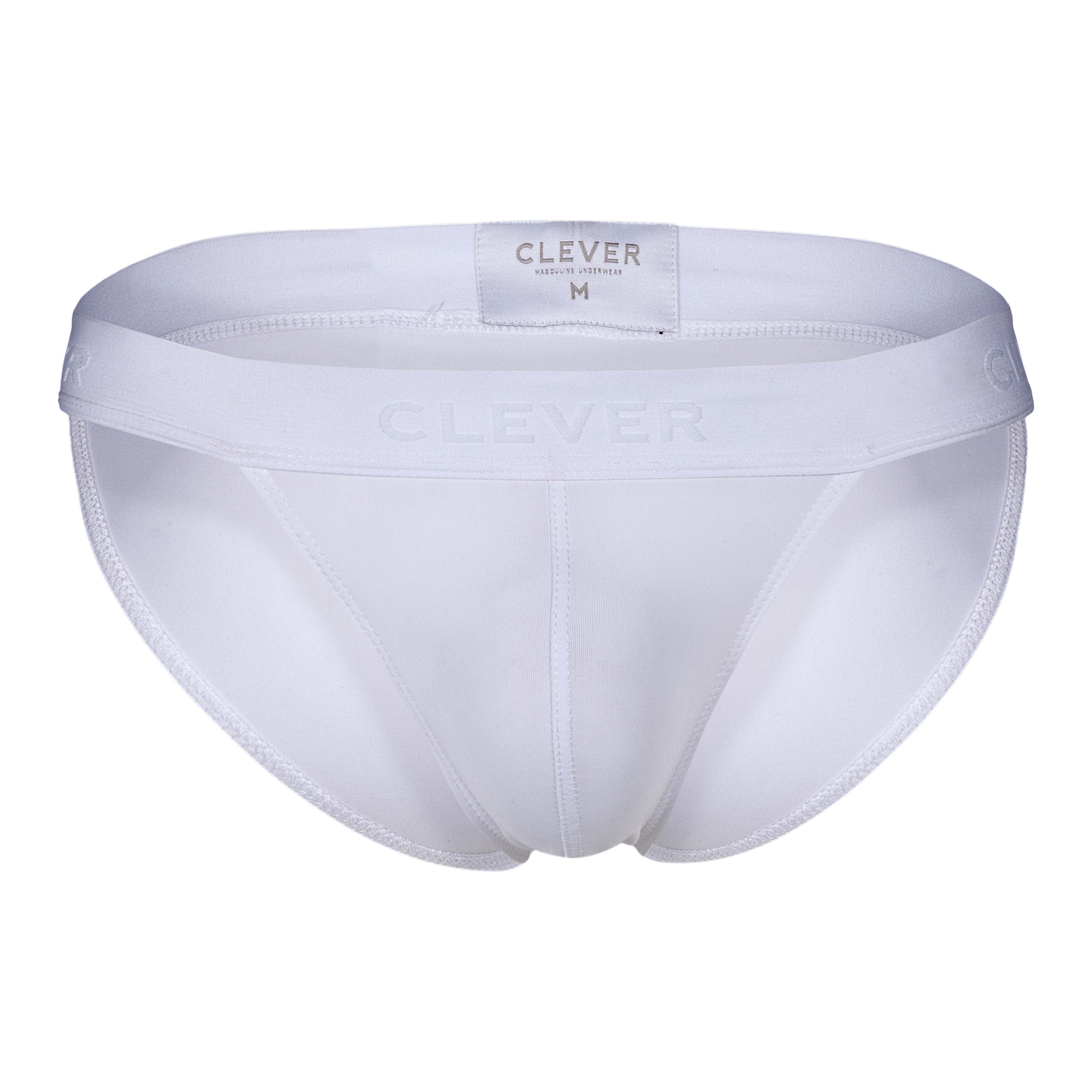 ROMAN DESIRE BRIEF