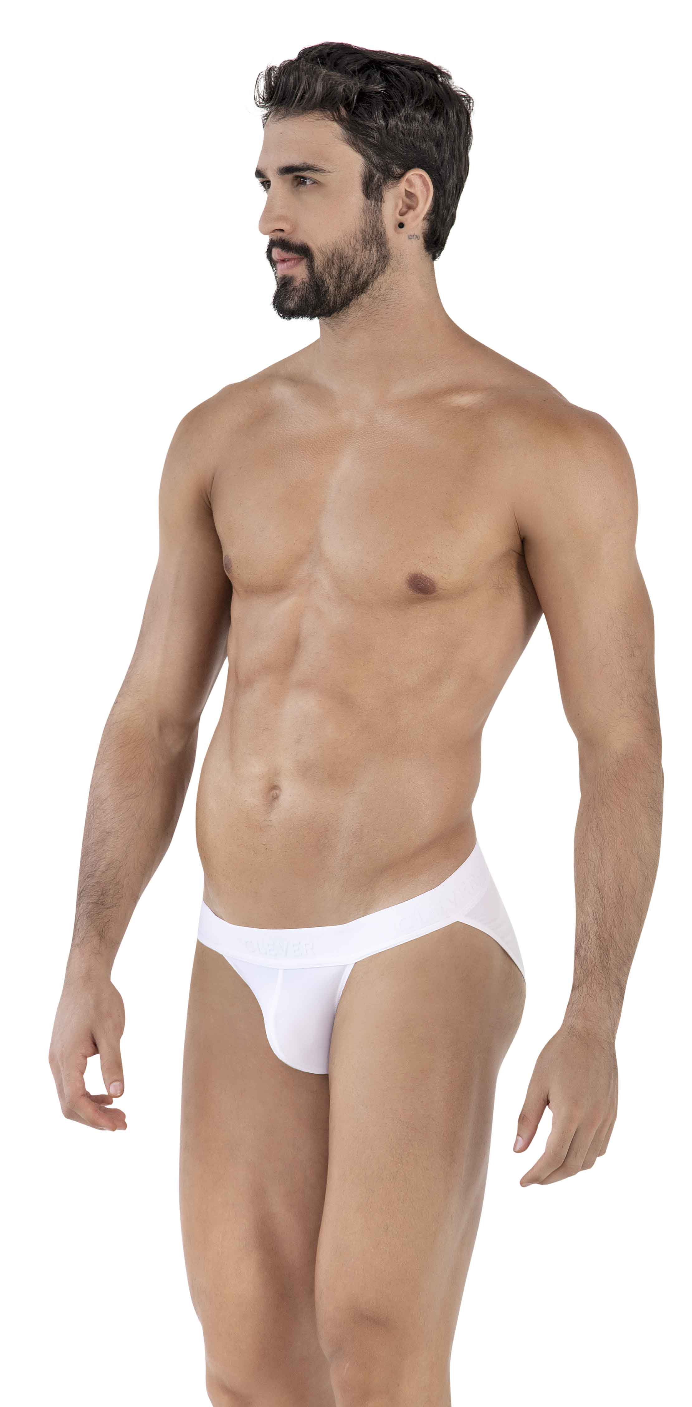 ROMAN DESIRE BRIEF