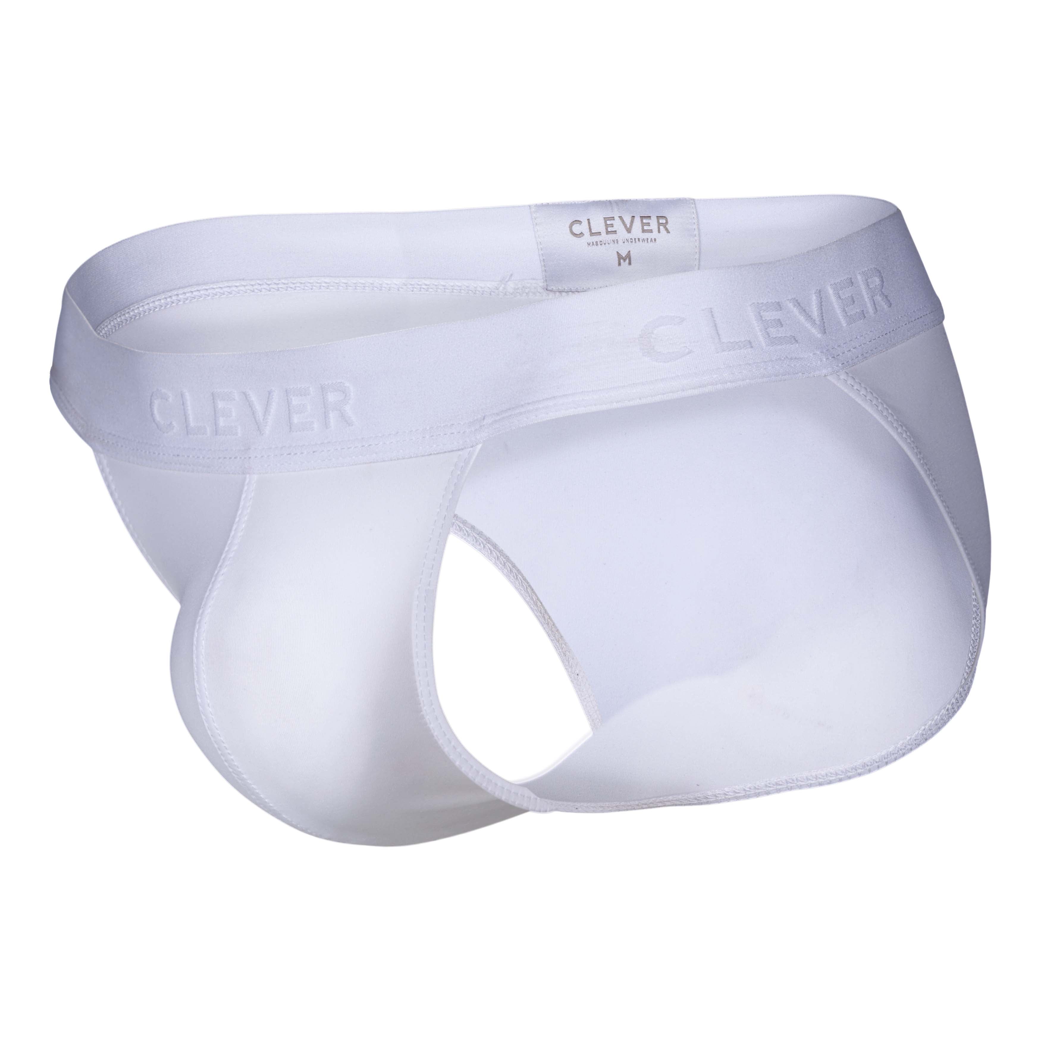 ROMAN DESIRE BRIEF