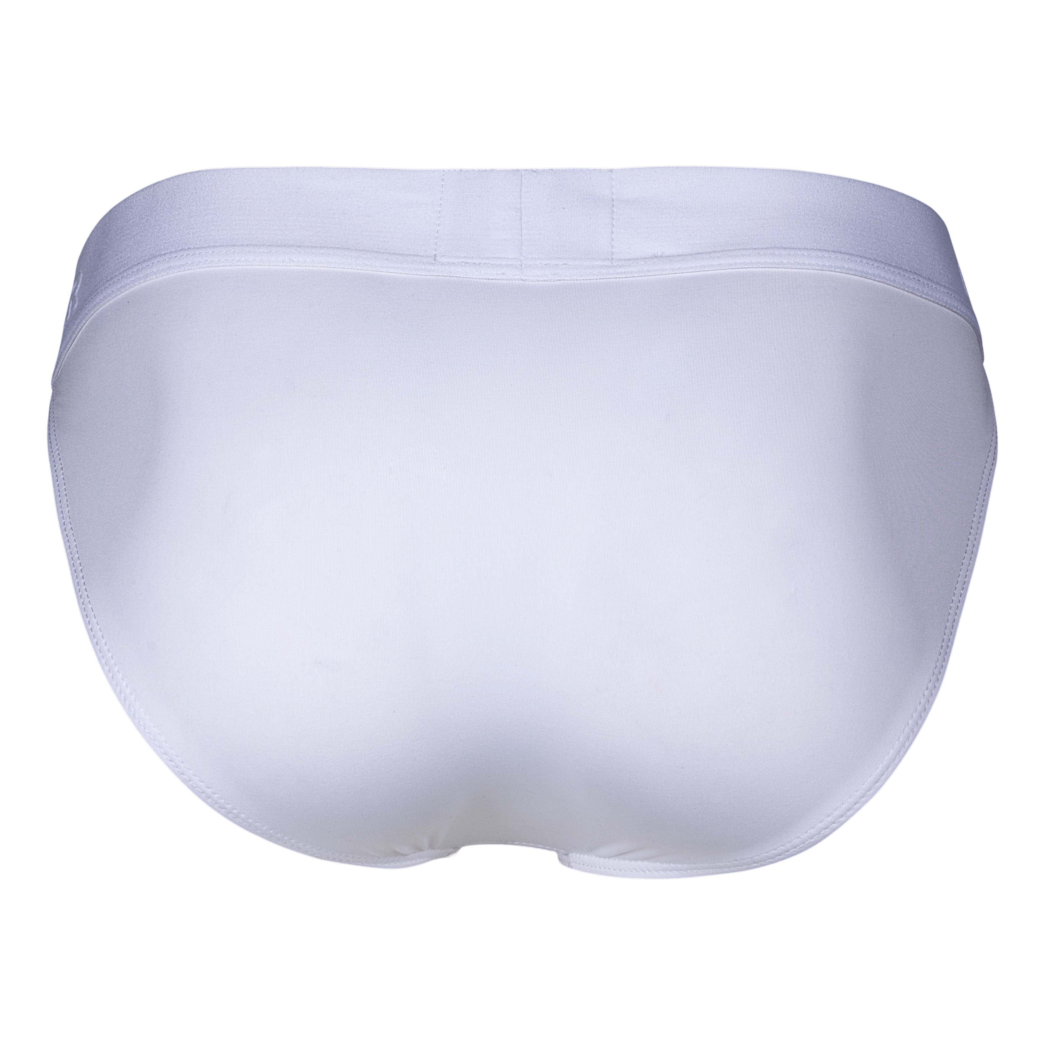 ROMAN DESIRE BRIEF