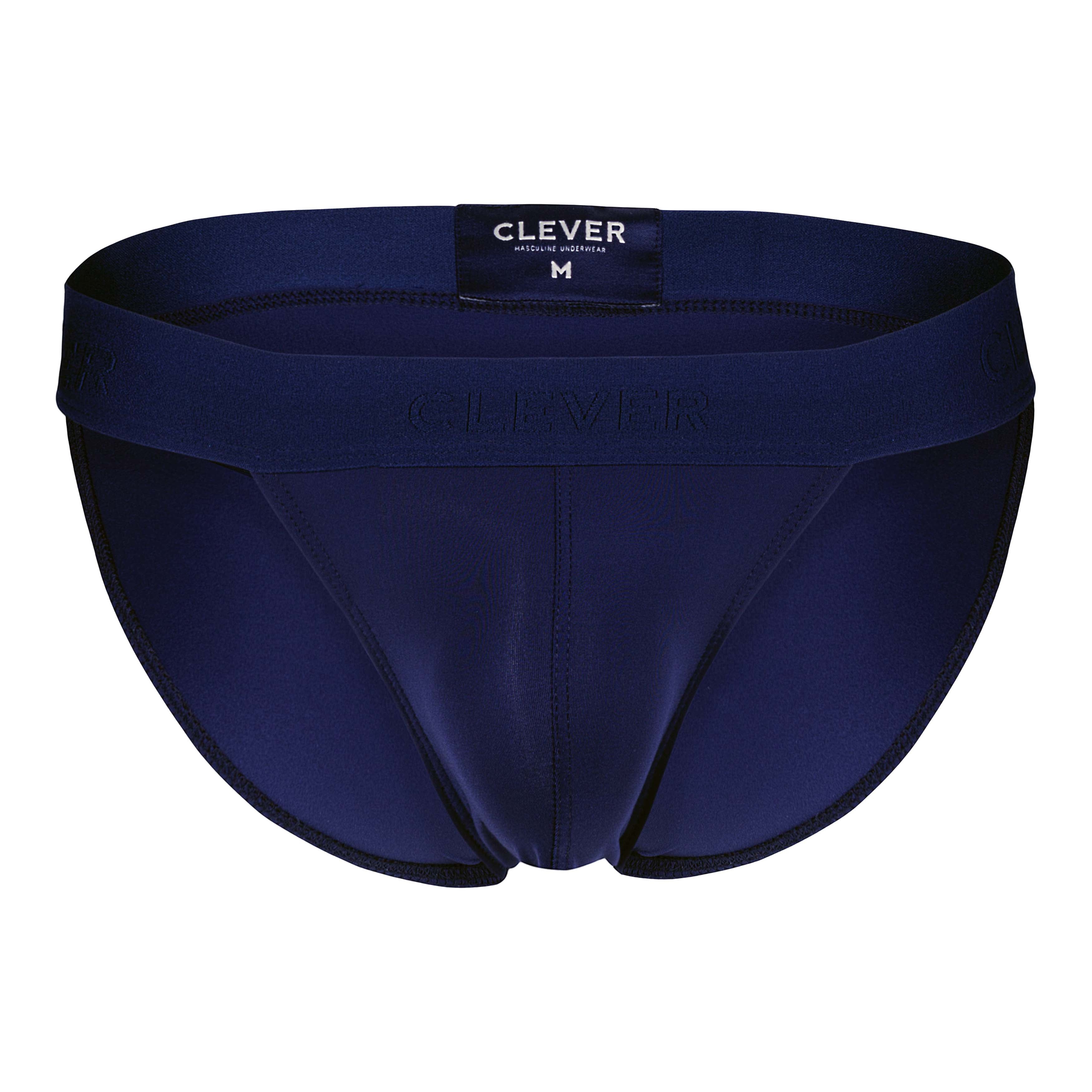 ROMAN DESIRE BRIEF