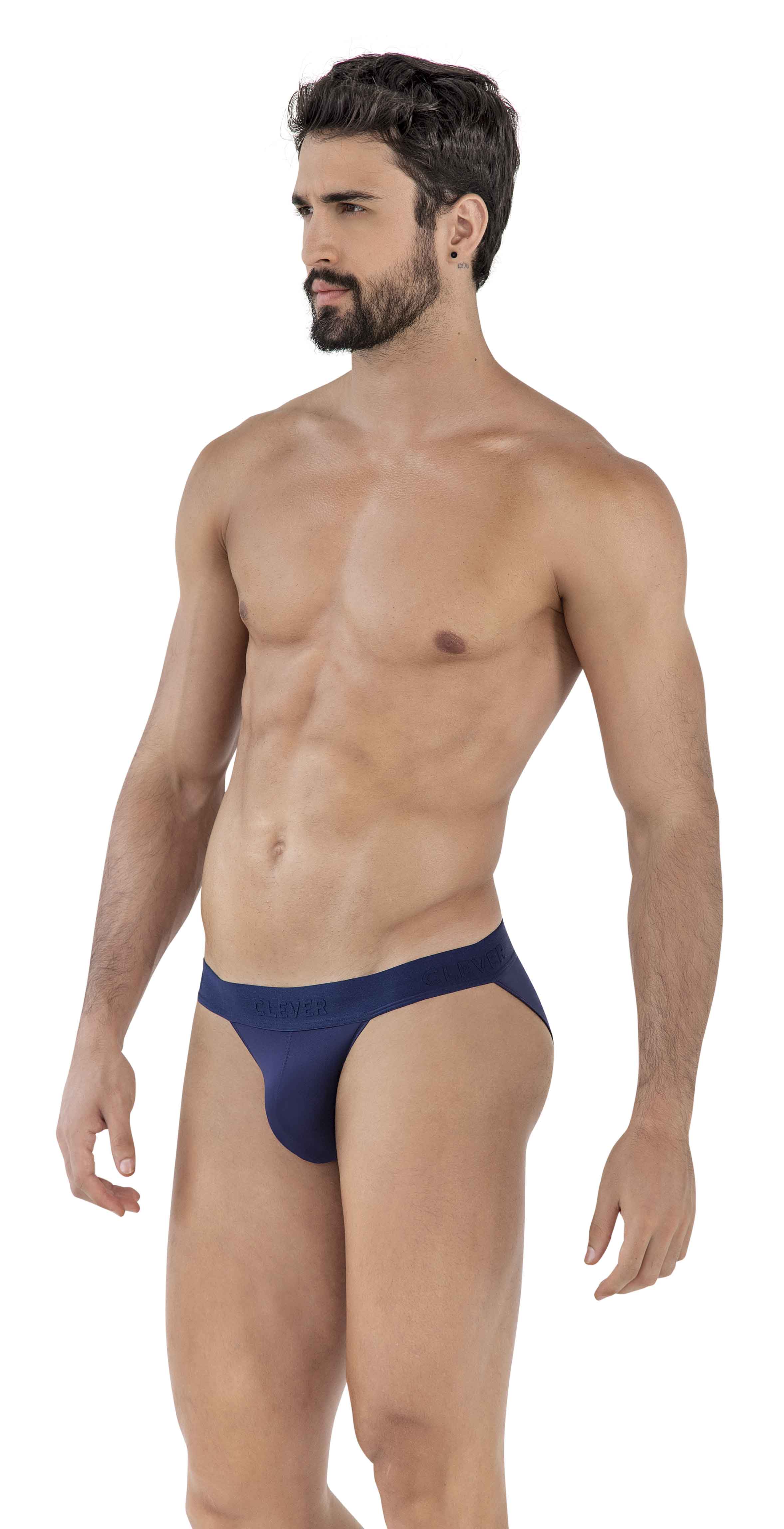 ROMAN DESIRE BRIEF