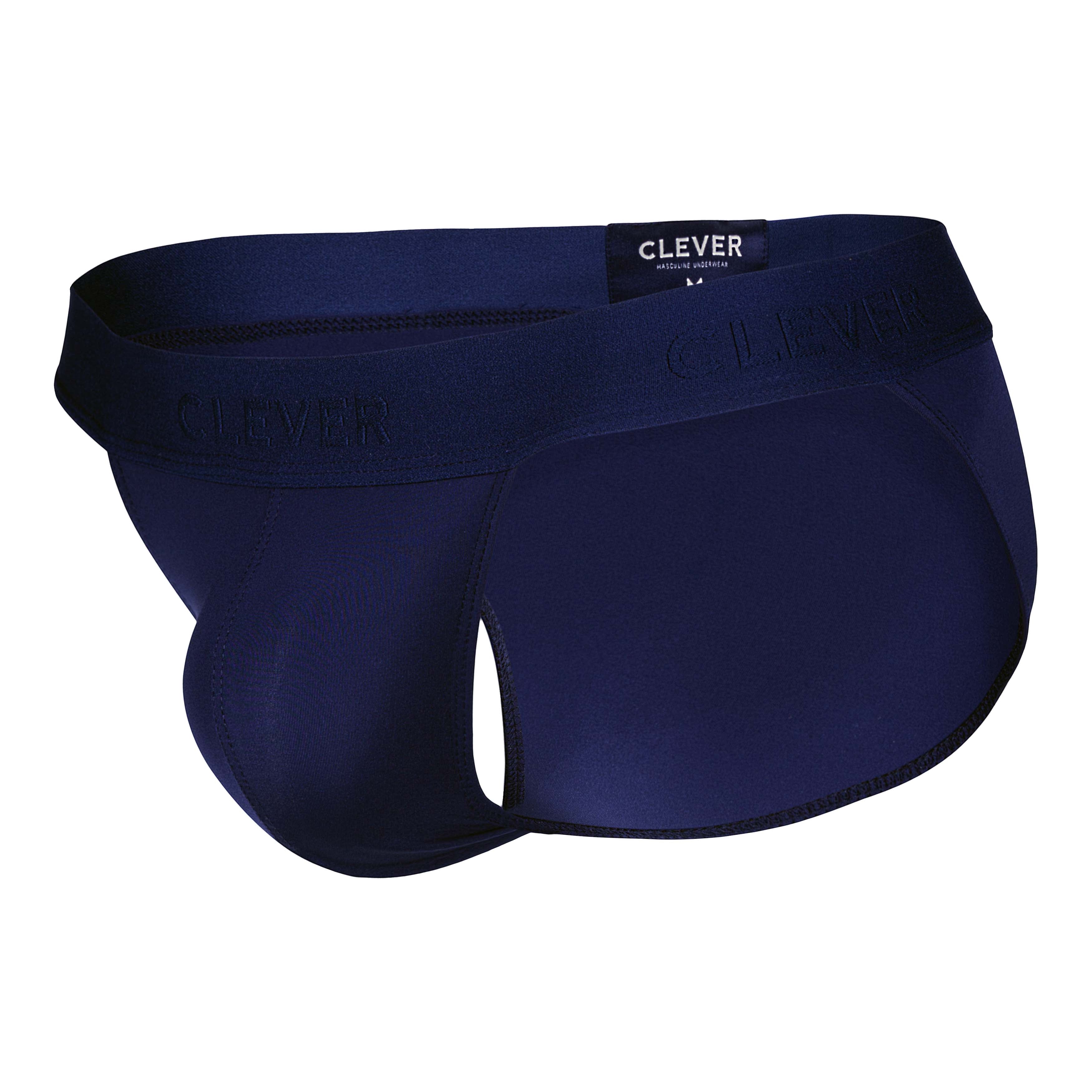 ROMAN DESIRE BRIEF
