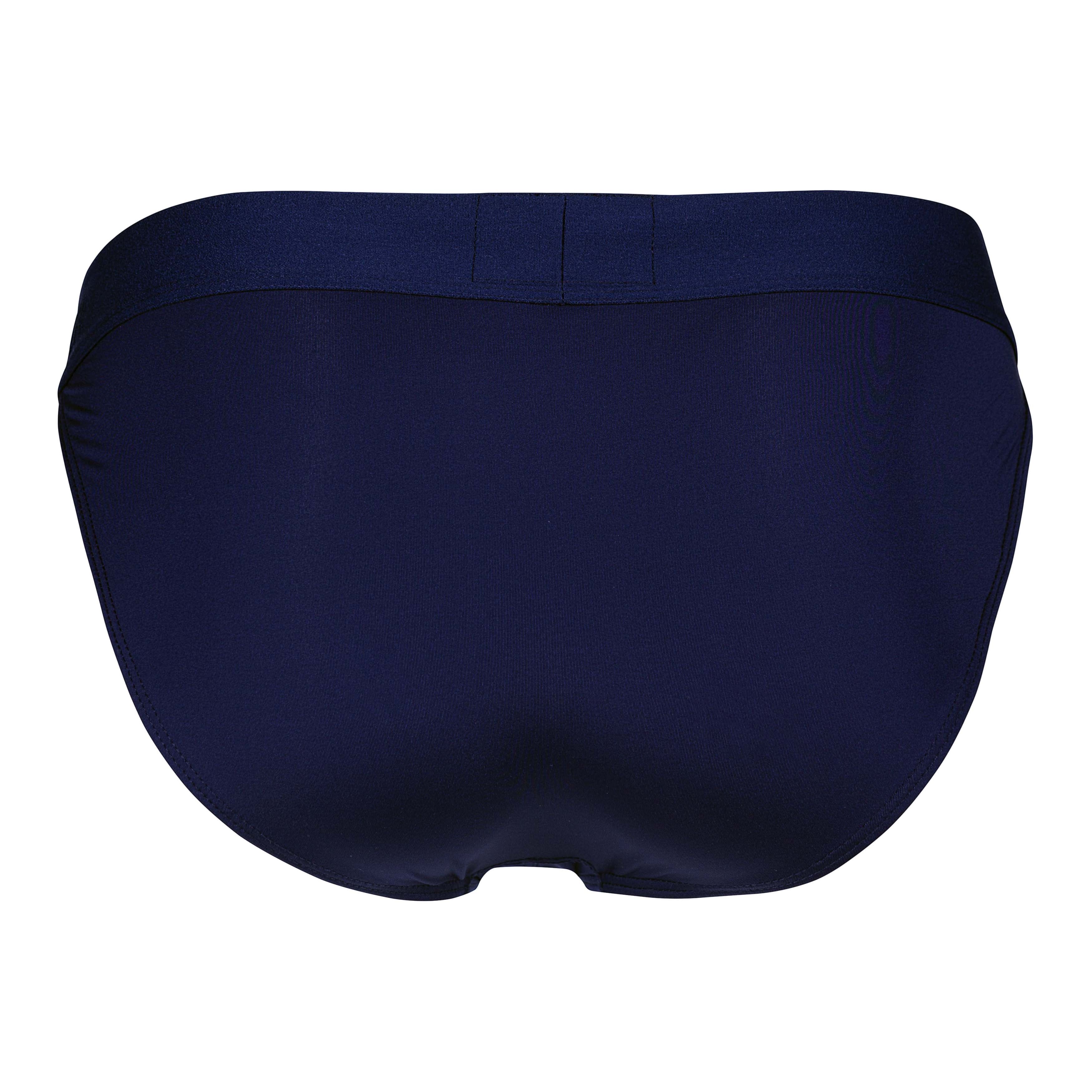 ROMAN DESIRE BRIEF