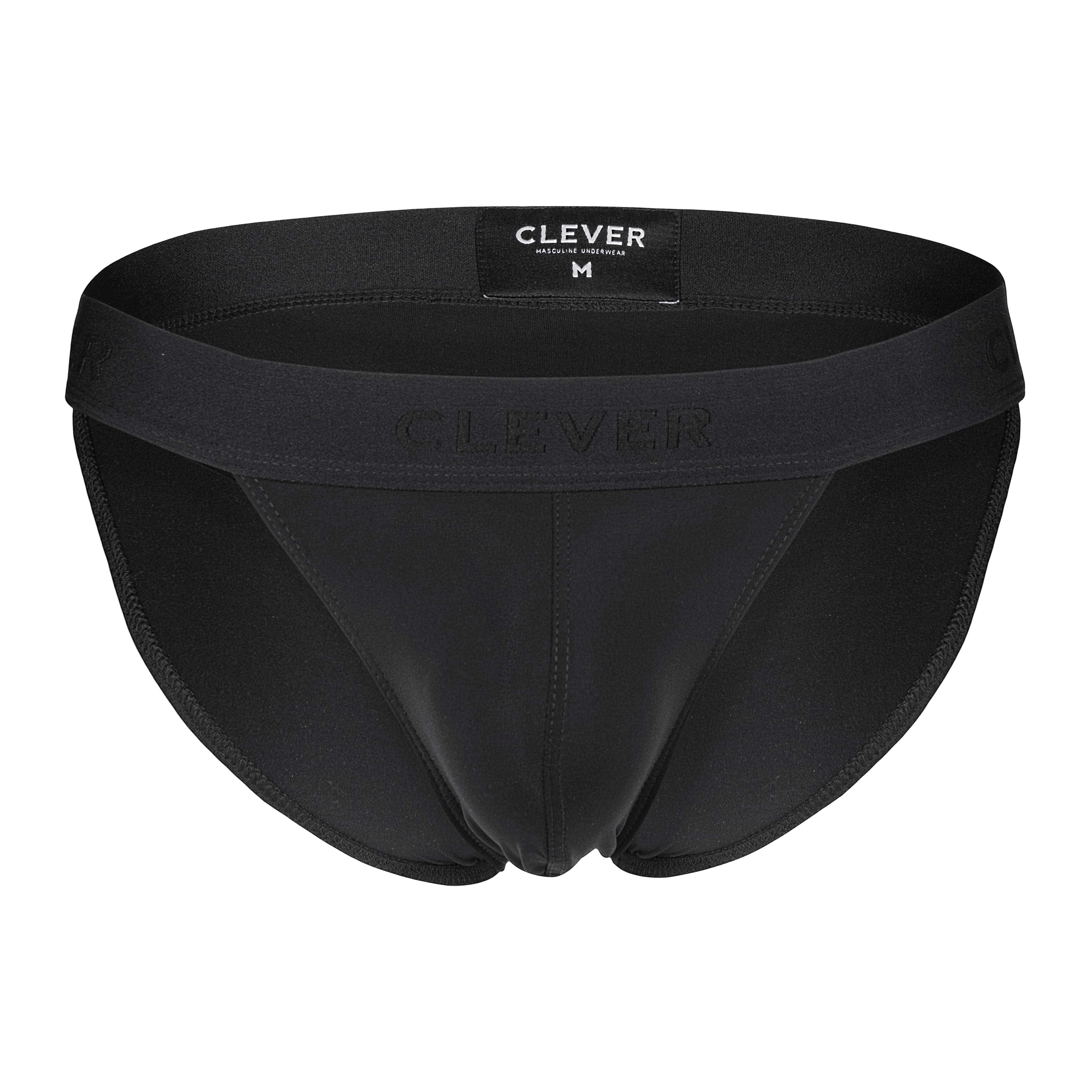 ROMAN DESIRE BRIEF