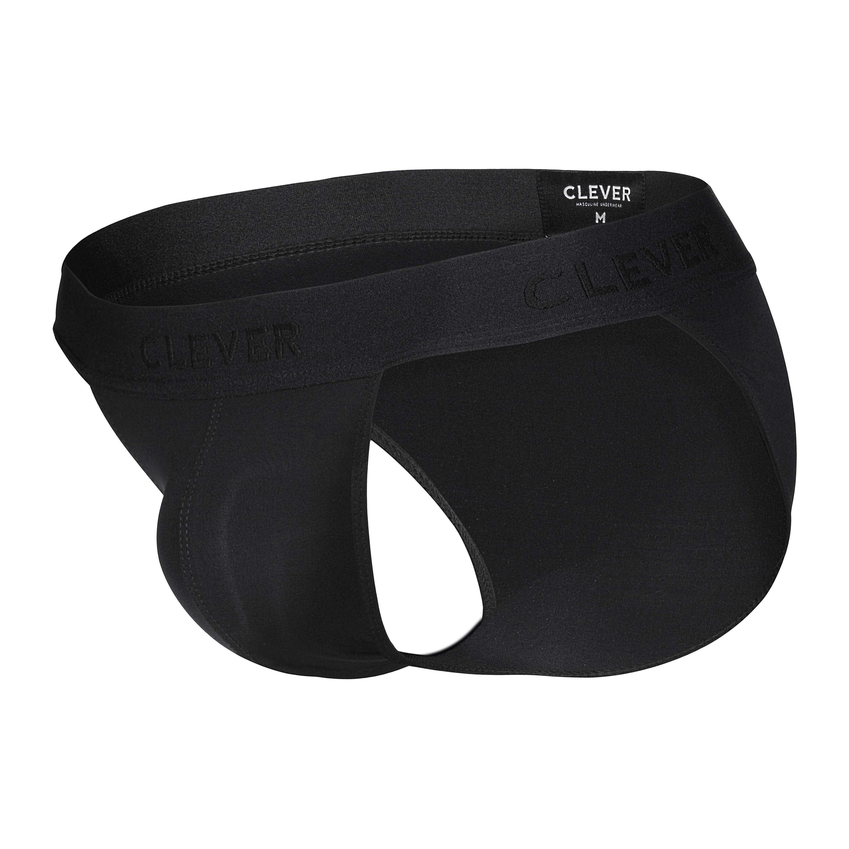 ROMAN DESIRE BRIEF