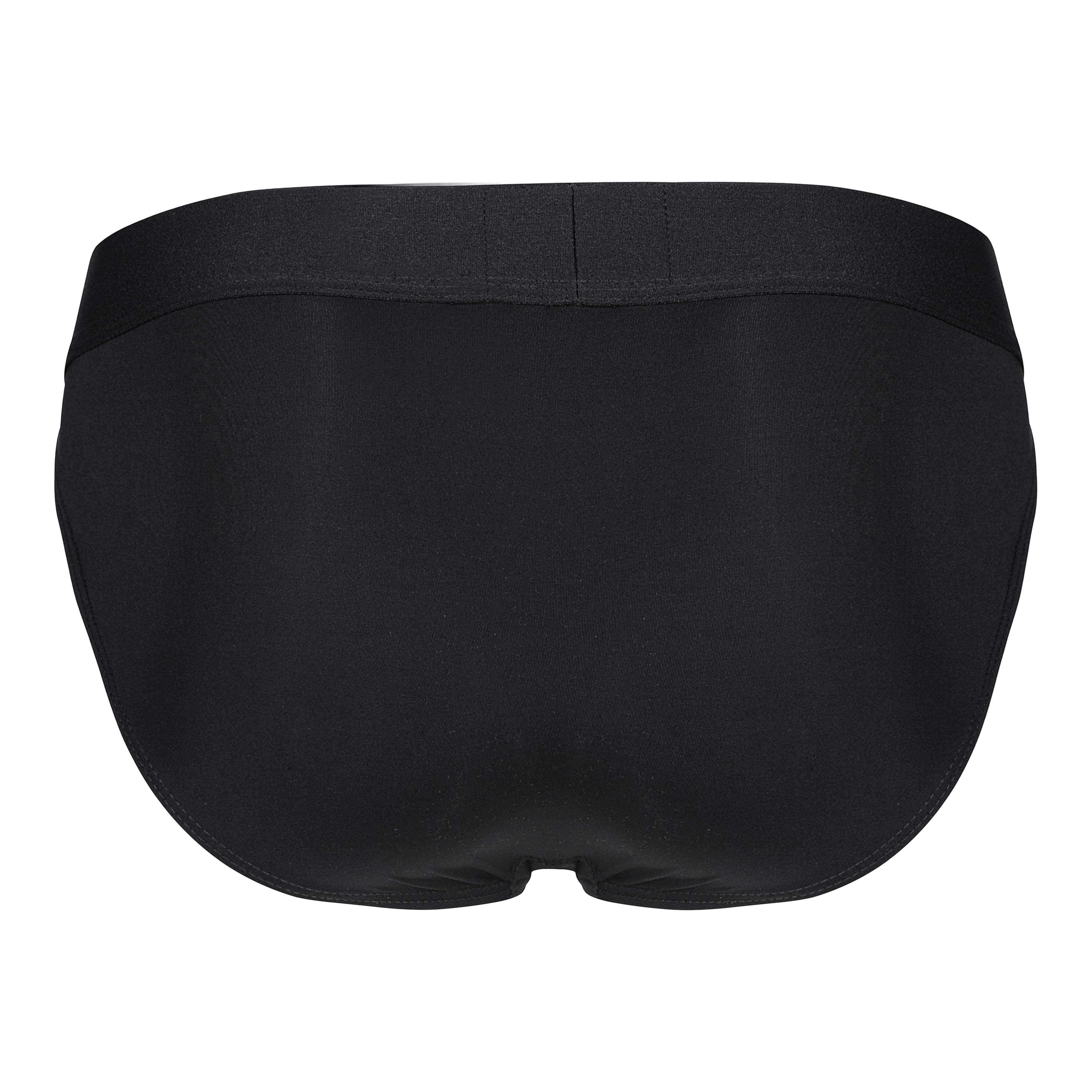 ROMAN DESIRE BRIEF