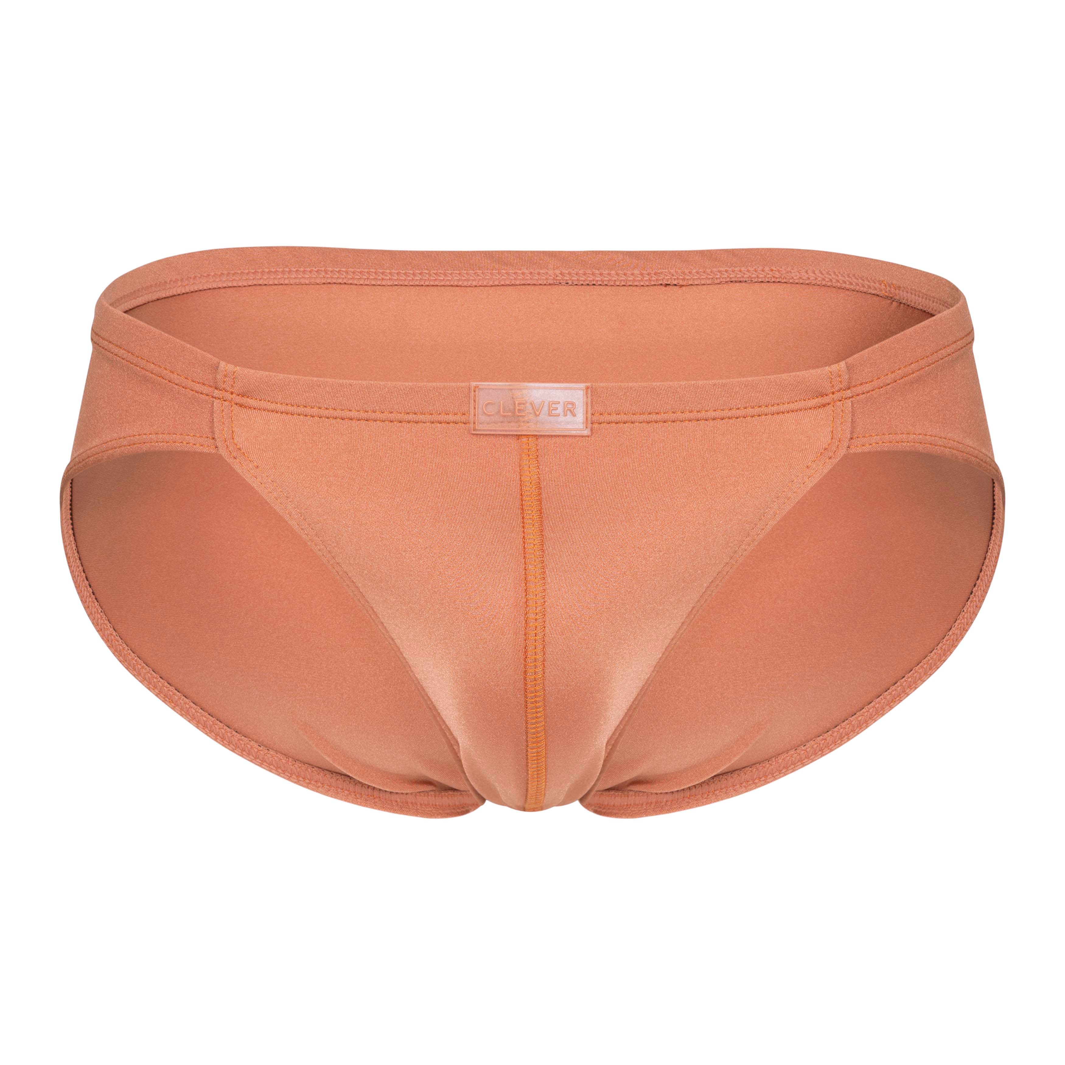 CELESTIAL BRIEF