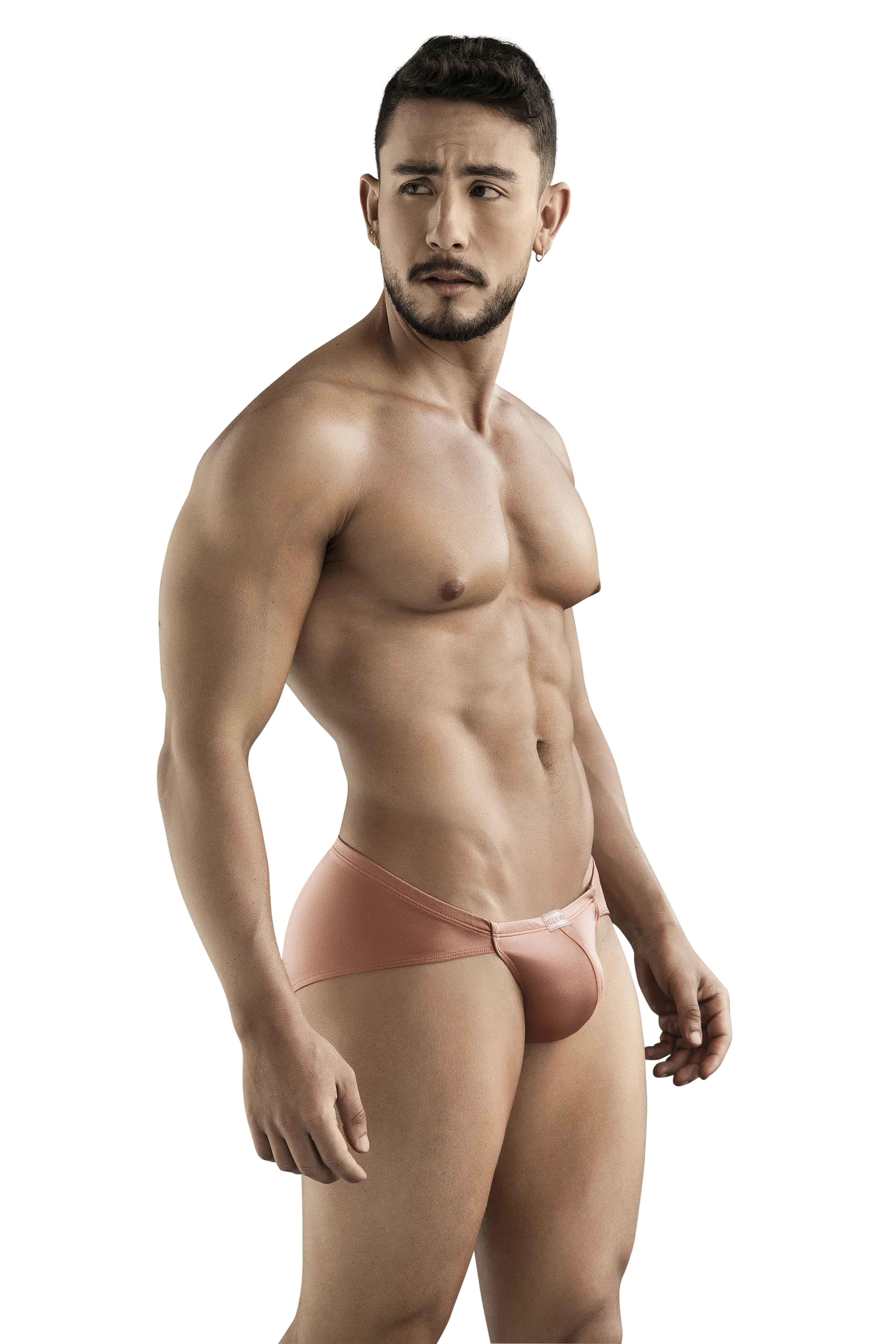 CELESTIAL BRIEF