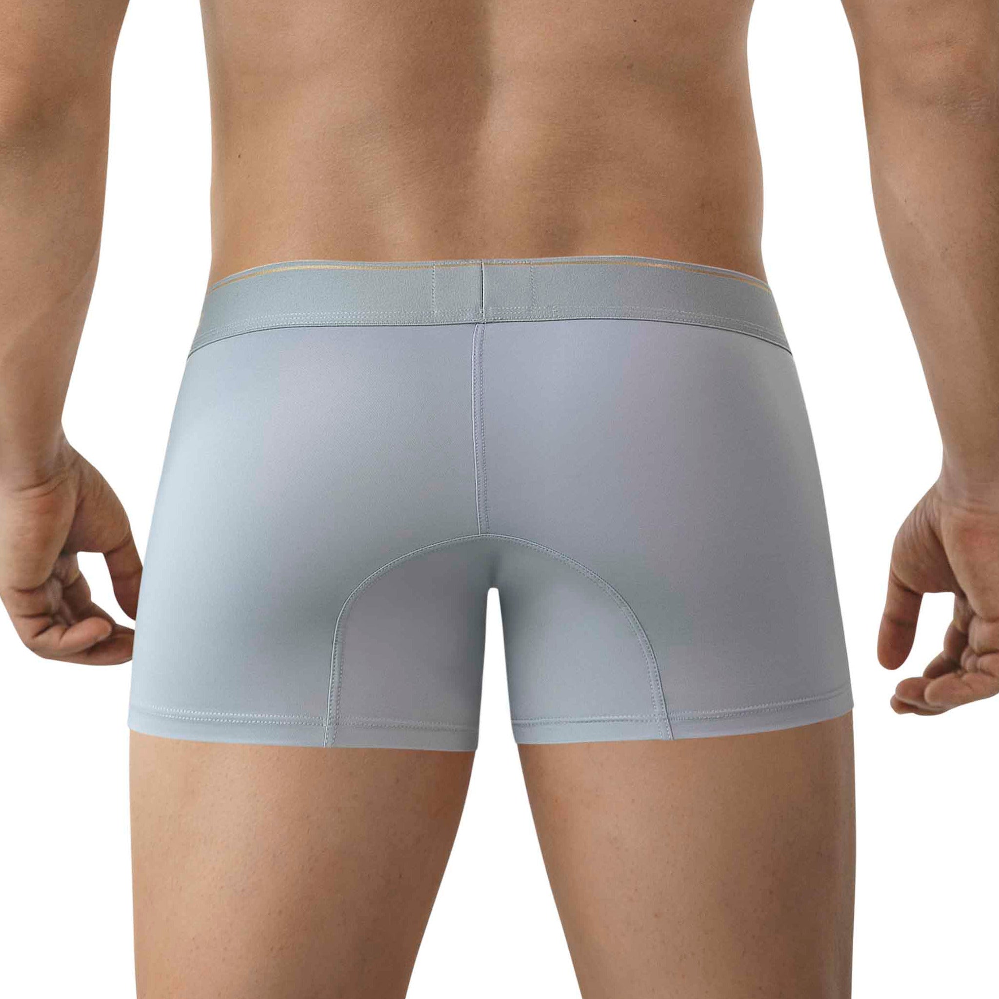 BOXER BRIEFS VALLADOLID TRUNKS GREY