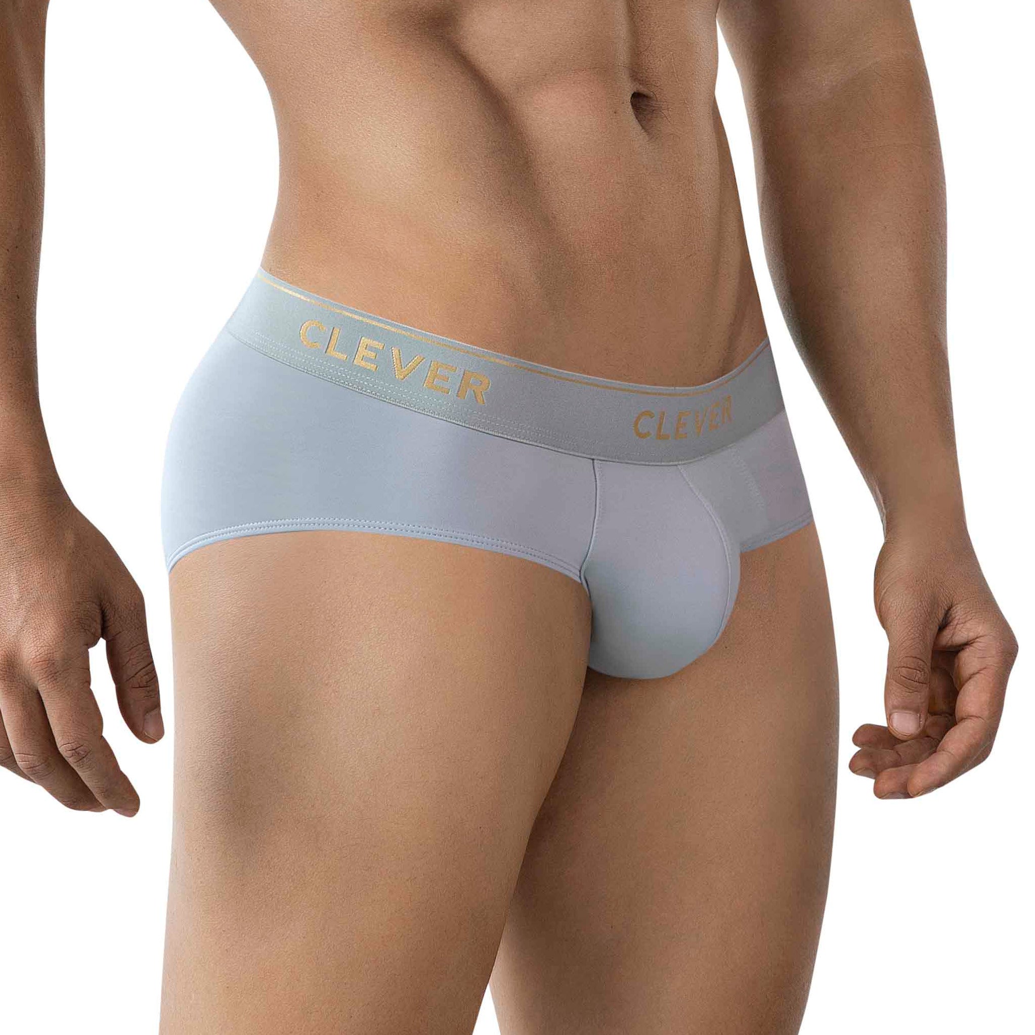 CLASSIC VALLADOLID GRAY BRIEFS