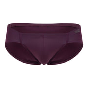MENDOZA GRAPE BRIEF