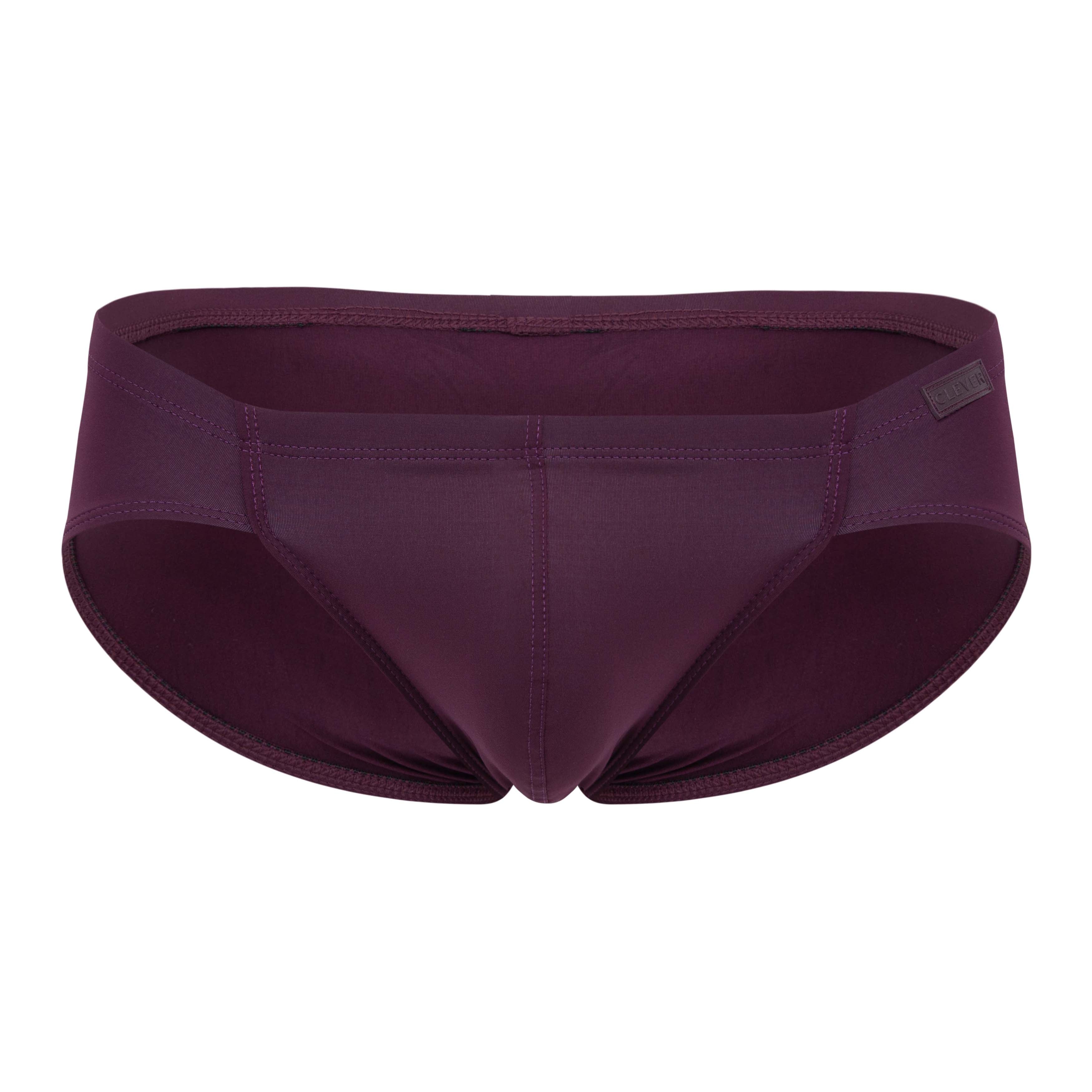 MENDOZA GRAPE BRIEF
