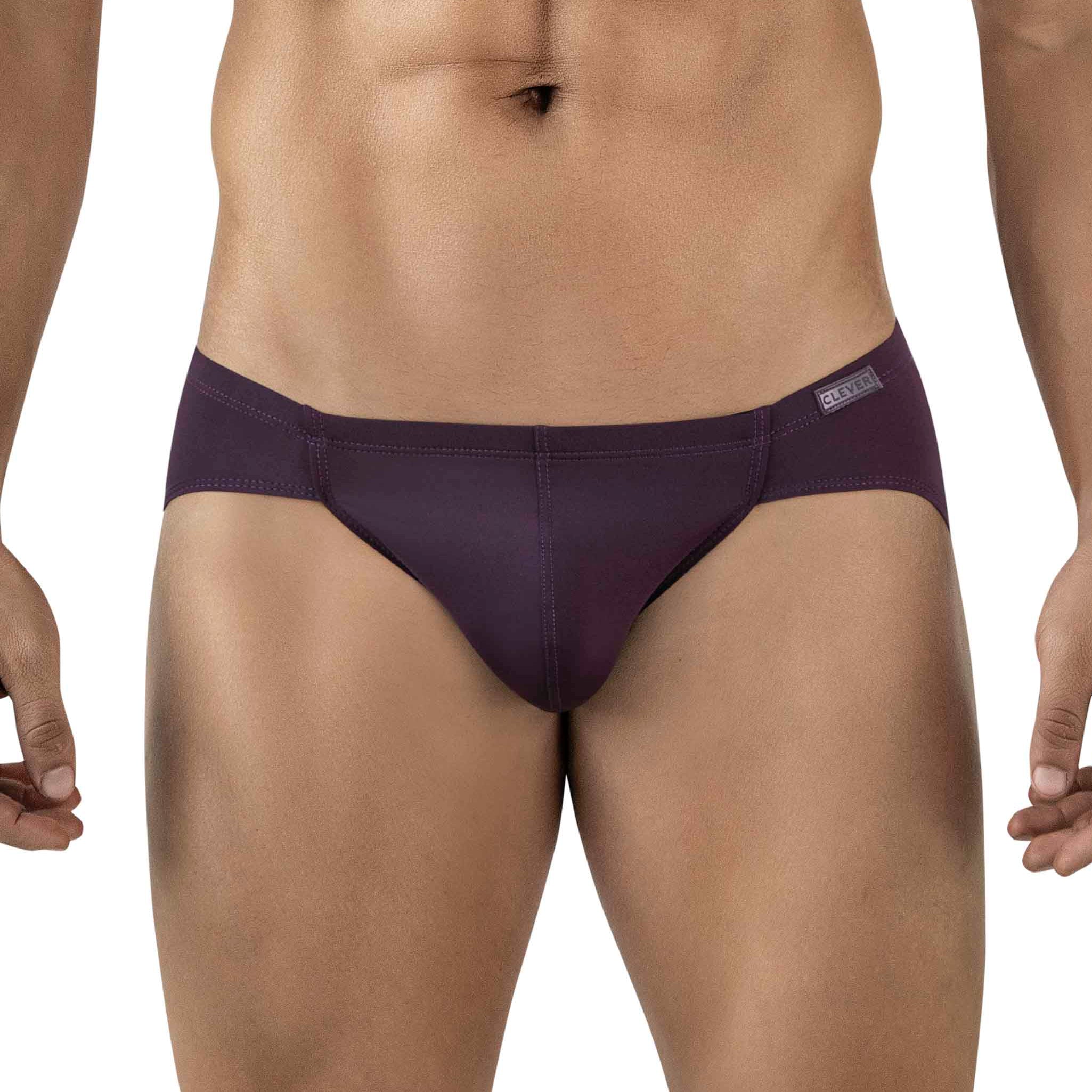 MENDOZA GRAPE BRIEF