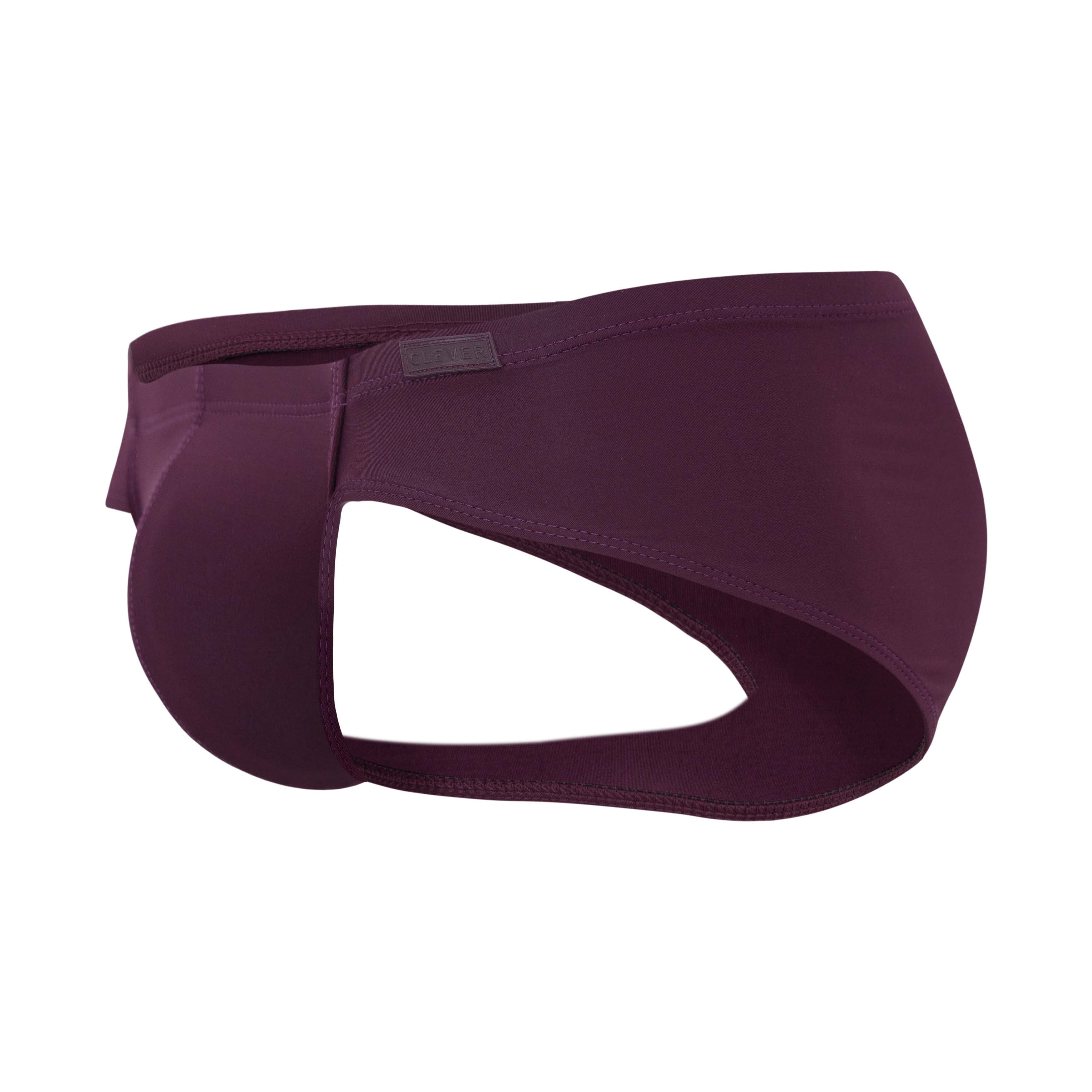 MENDOZA GRAPE BRIEF