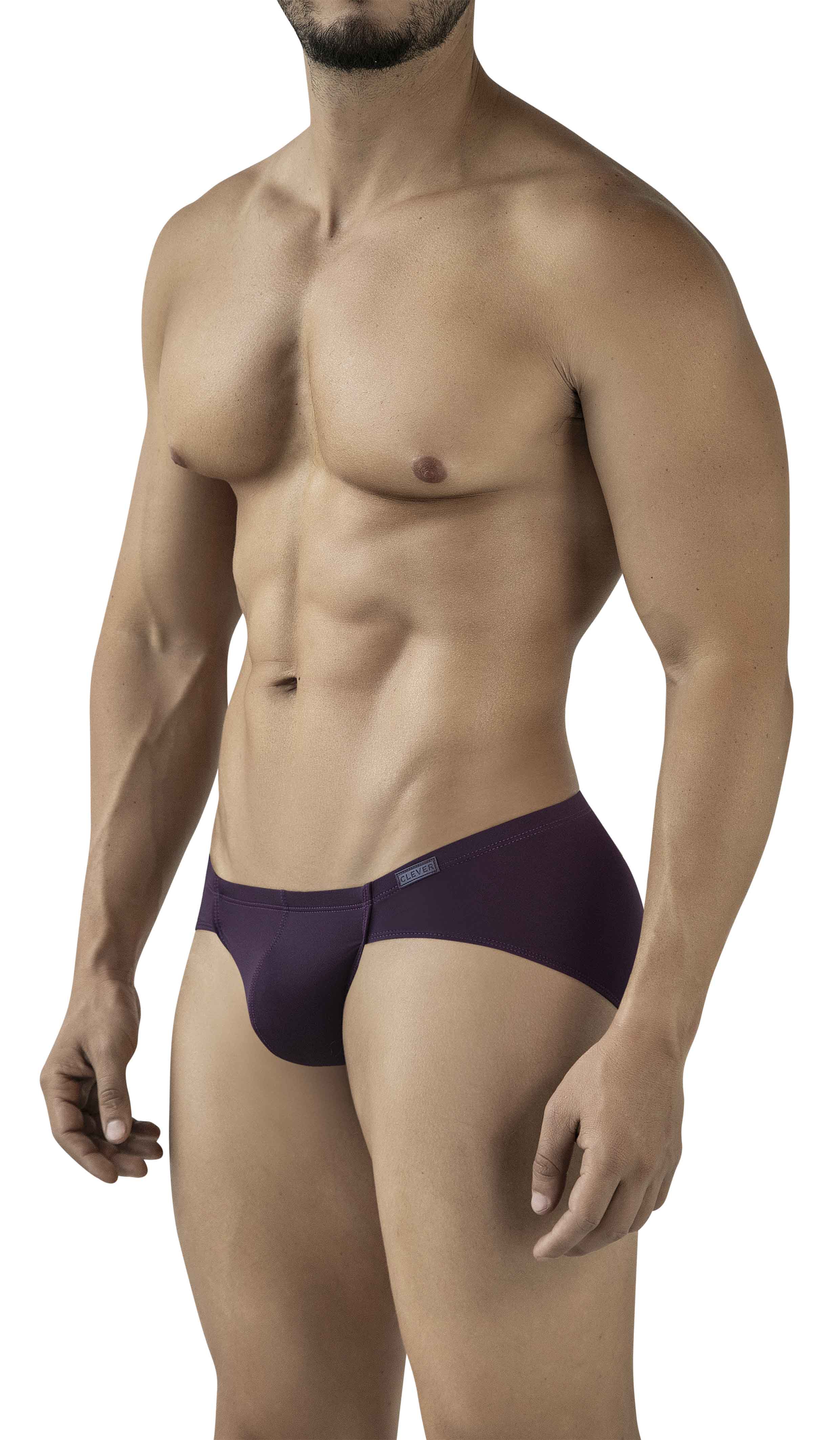 MENDOZA GRAPE BRIEF