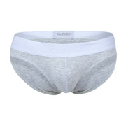 LIGHT GRAY CATAMARCA BRIEF