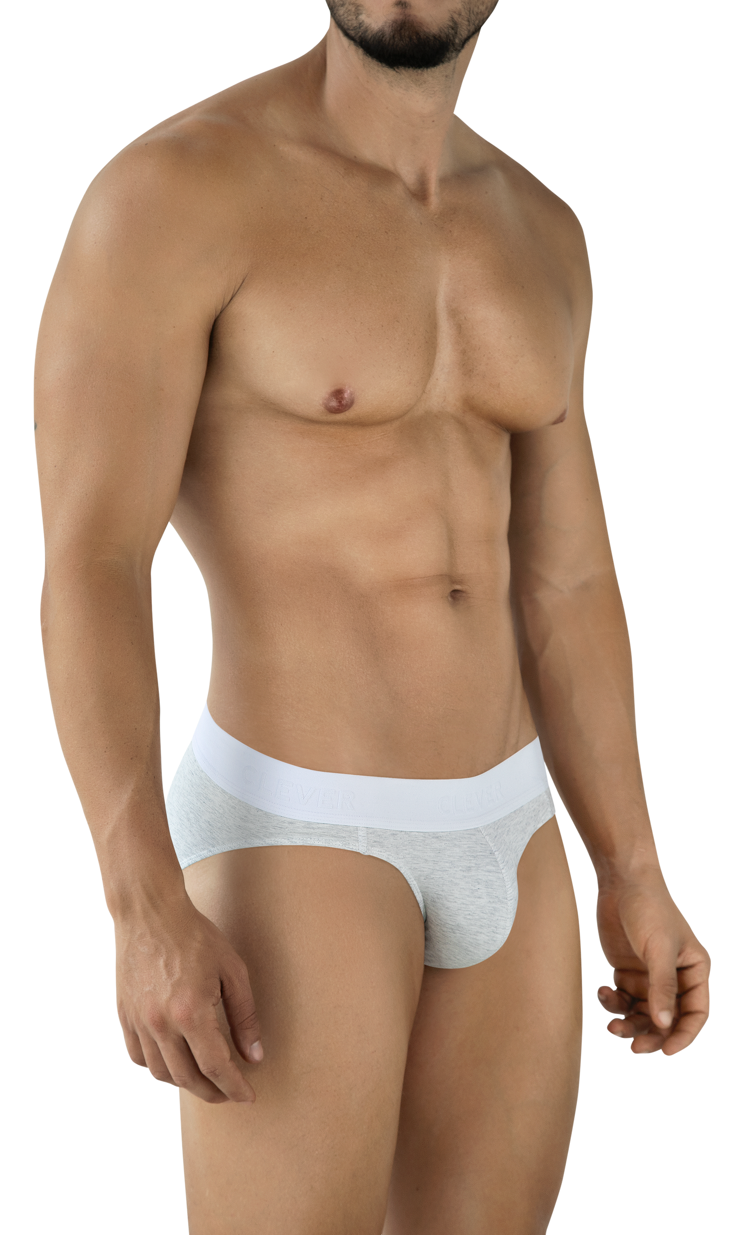 BRIEF CATAMARCA GRIS CLARO