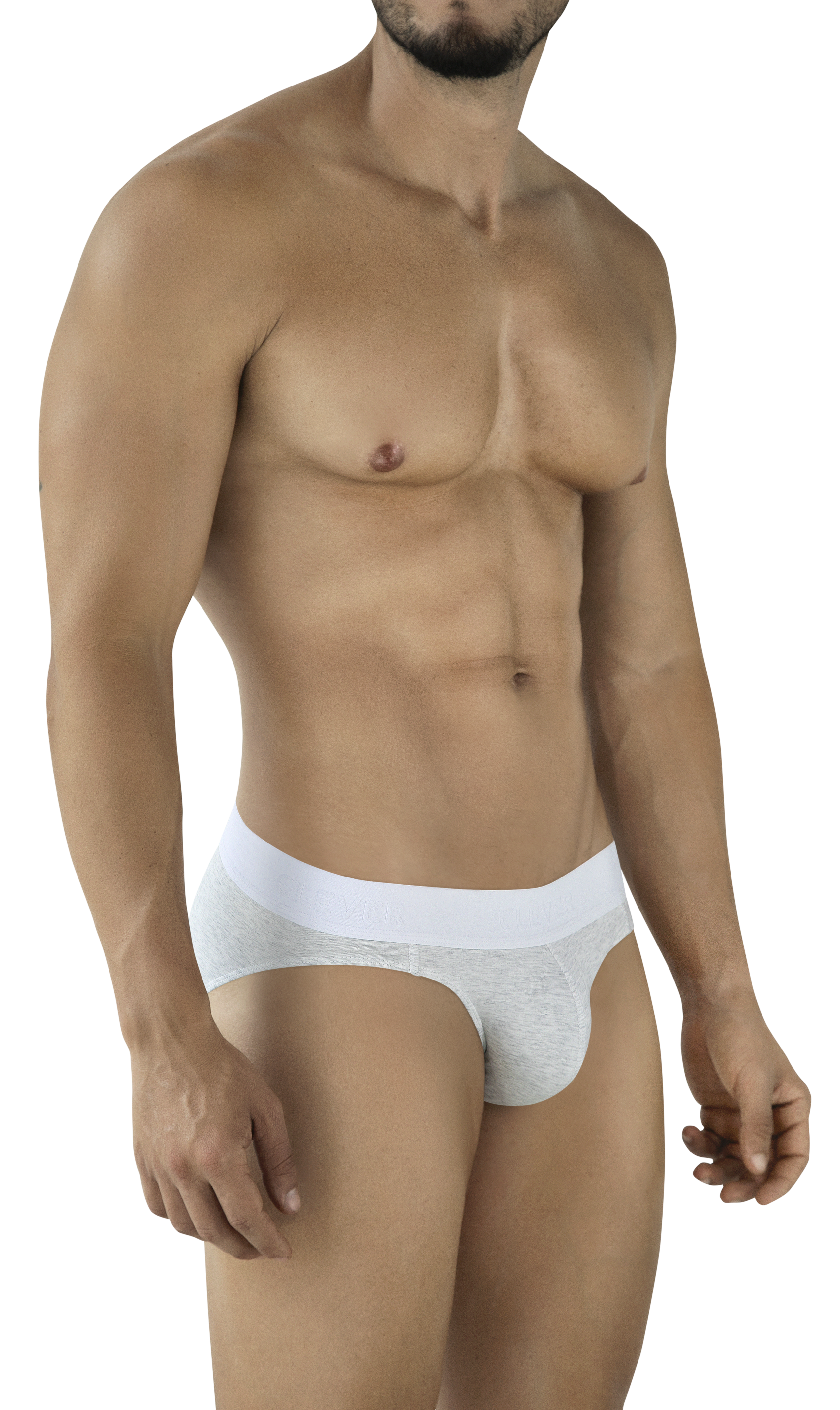 LIGHT GRAY CATAMARCA BRIEF