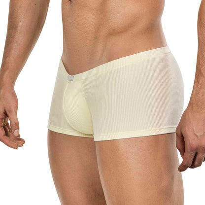 BOXER LATINO APOLO AMARILLO