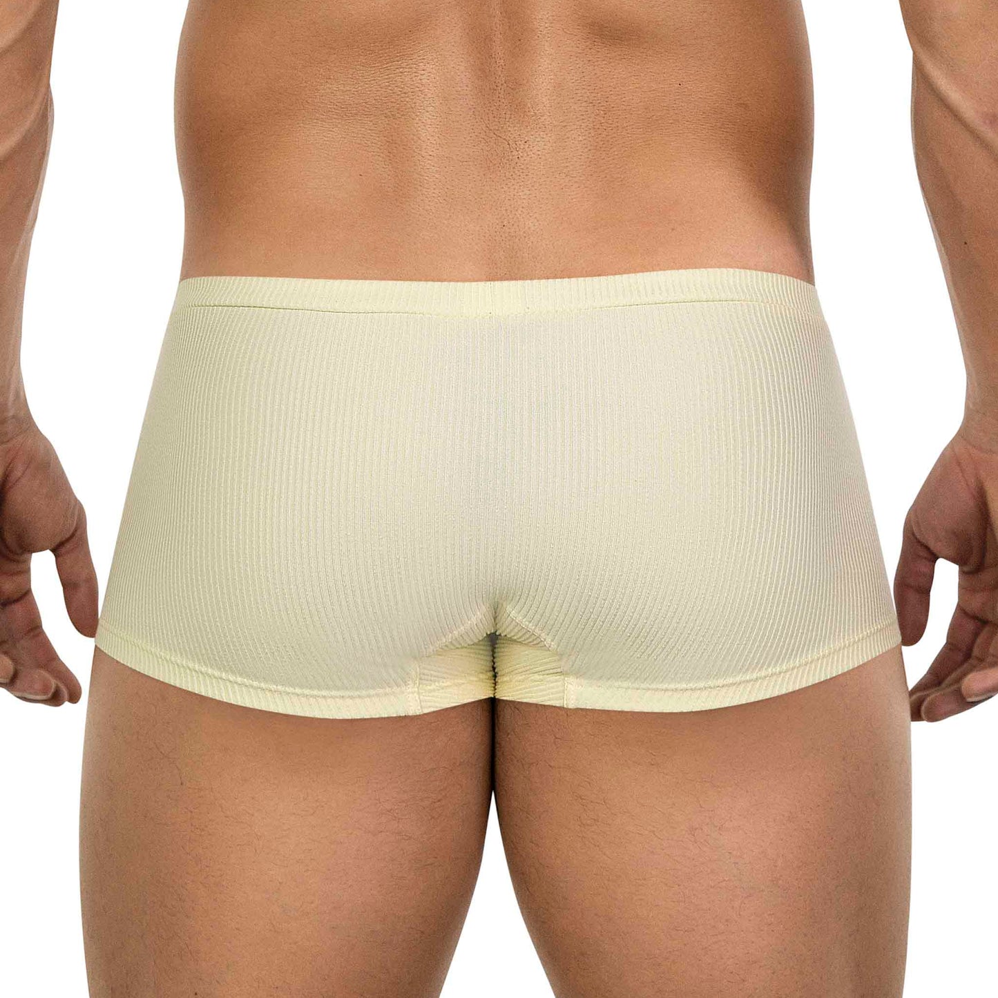 BOXER LATINO APOLO AMARILLO