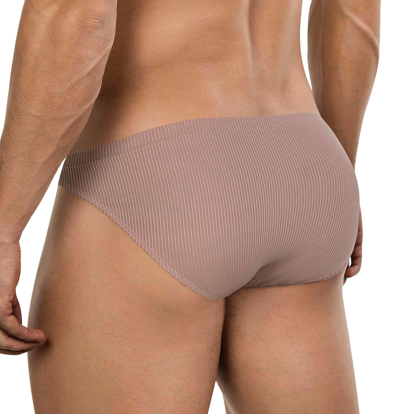 BRIEF APOLO ARENA