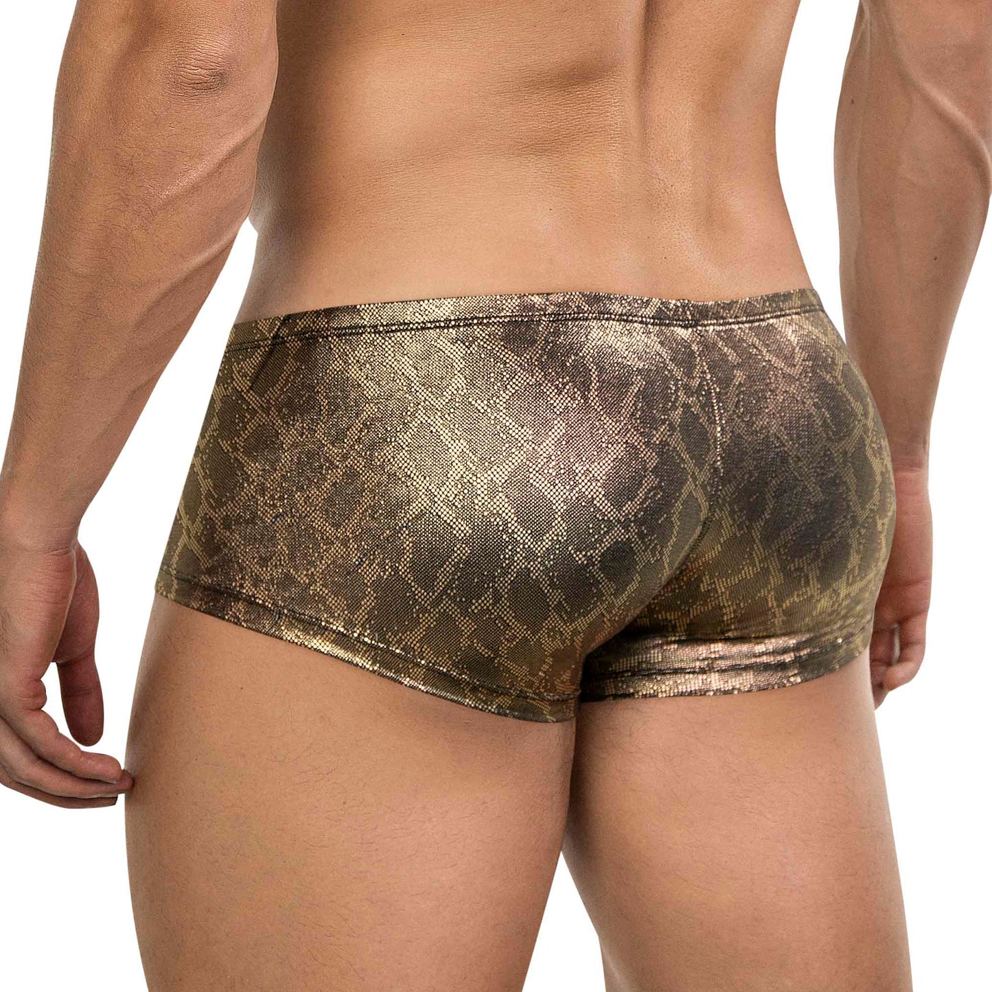 BOXER LATINO ATLAS