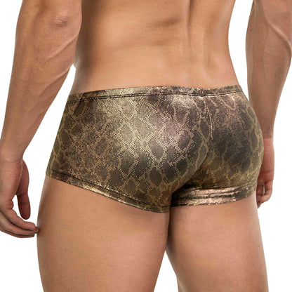 BOXER LATINO ATLAS