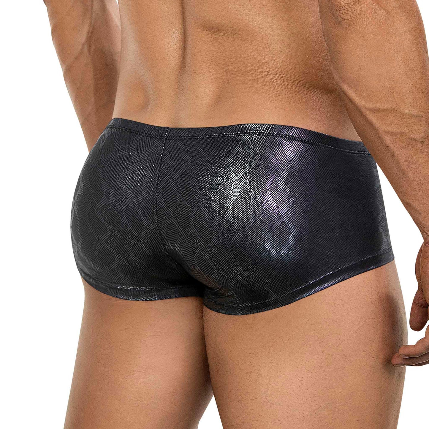 BOXER LATINO ATLAS