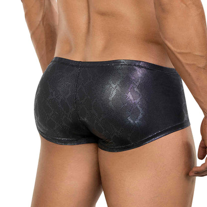 BOXER LATINO ATLAS