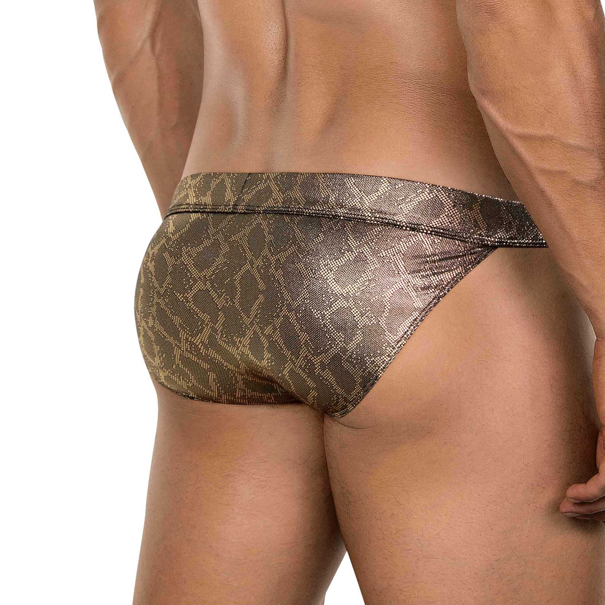 GOLDEN ATLAS BRIEF