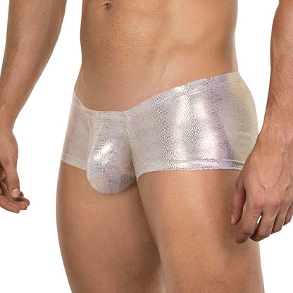 BOXER LATINO ATLAS