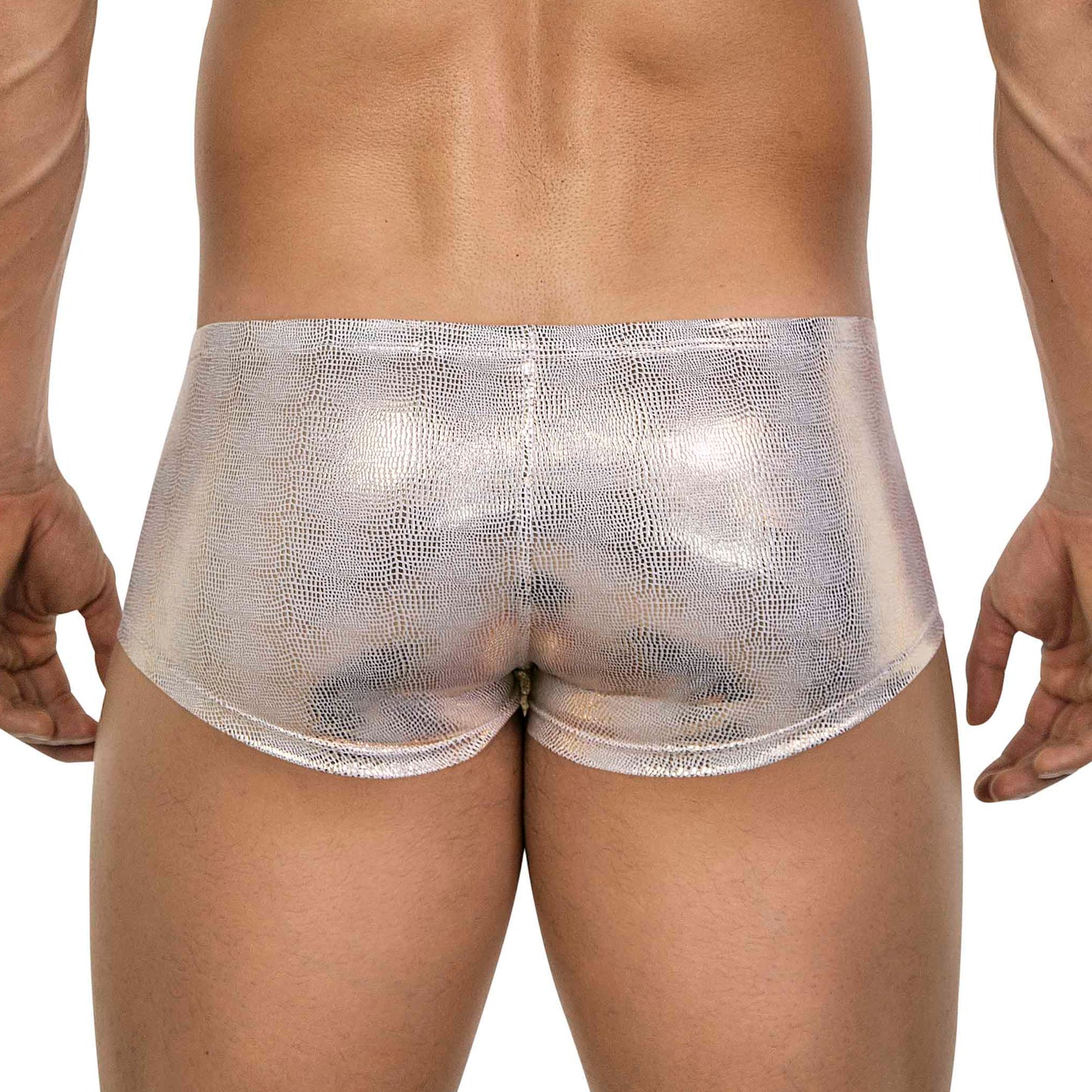 BOXER LATINO ATLAS