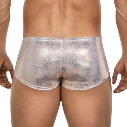 BOXER LATINO ATLAS