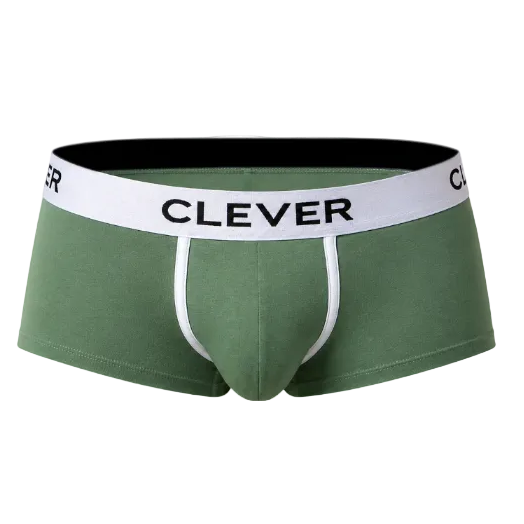 BOXER LATINO AQUILES VERDE